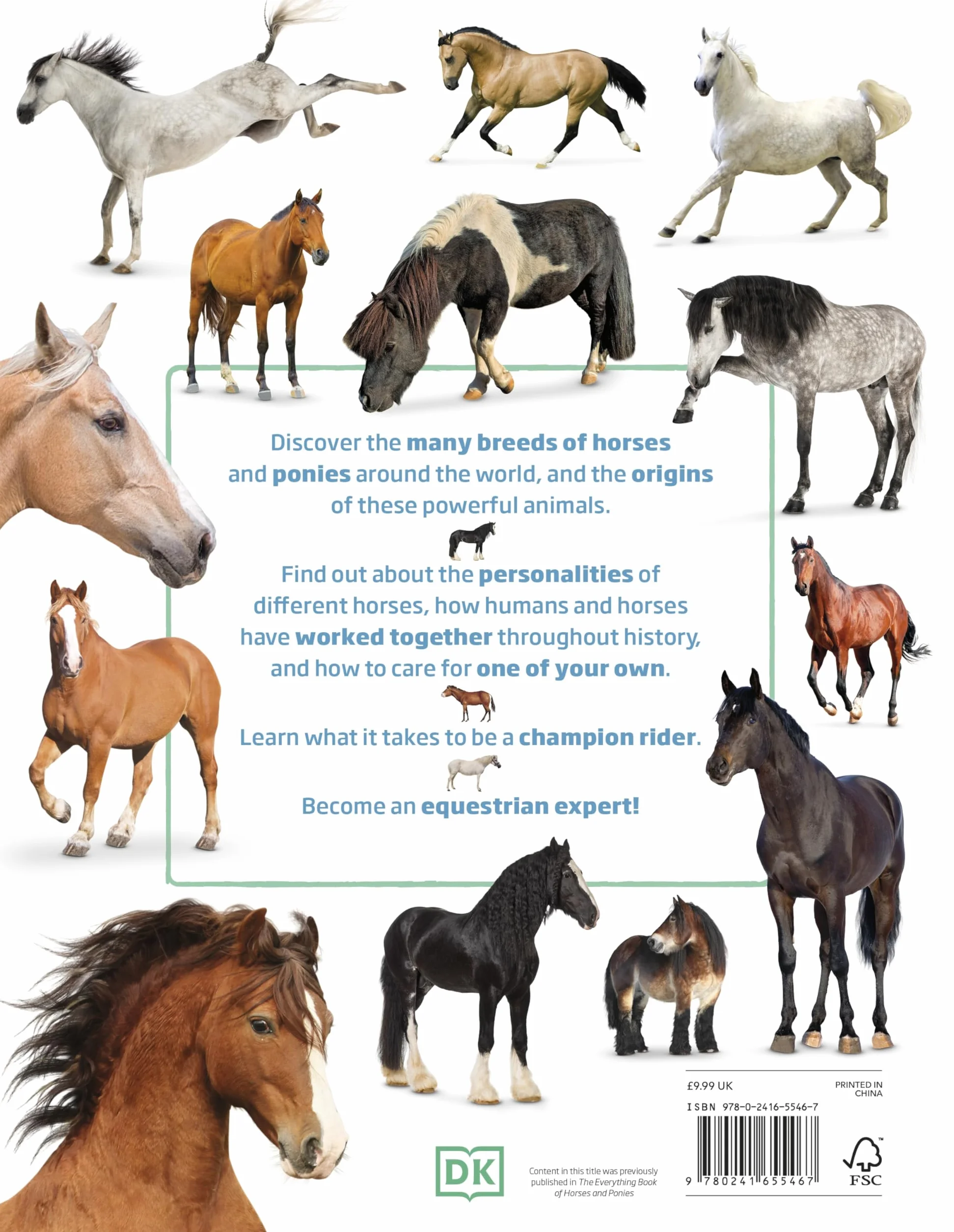 My Book of Horses and Ponies: A Fact-Filled Guide to Your Equine Friends