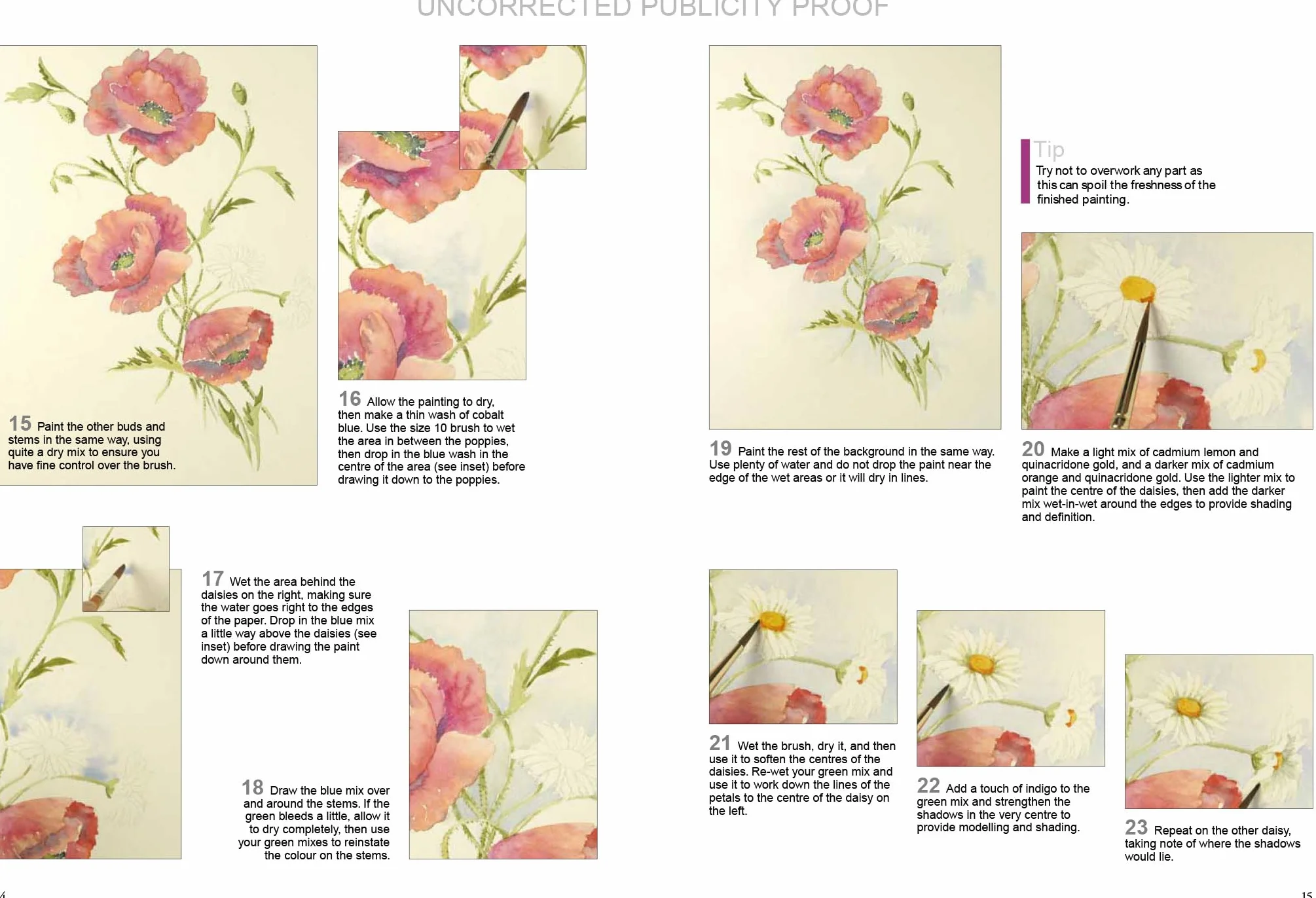 Ready to Paint Watercolour Flowers