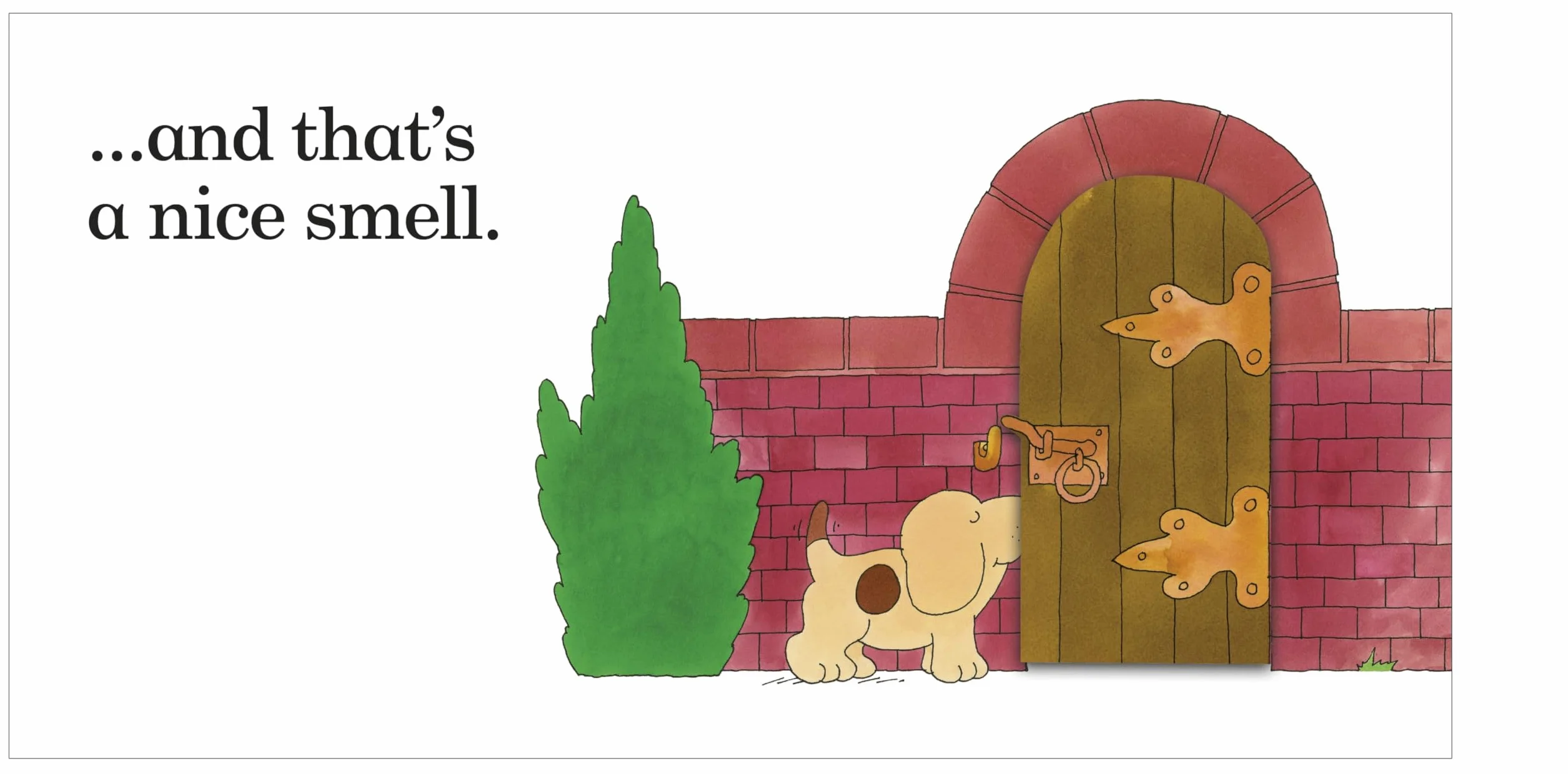 Spot's First Walk: A lift-the-flap board book