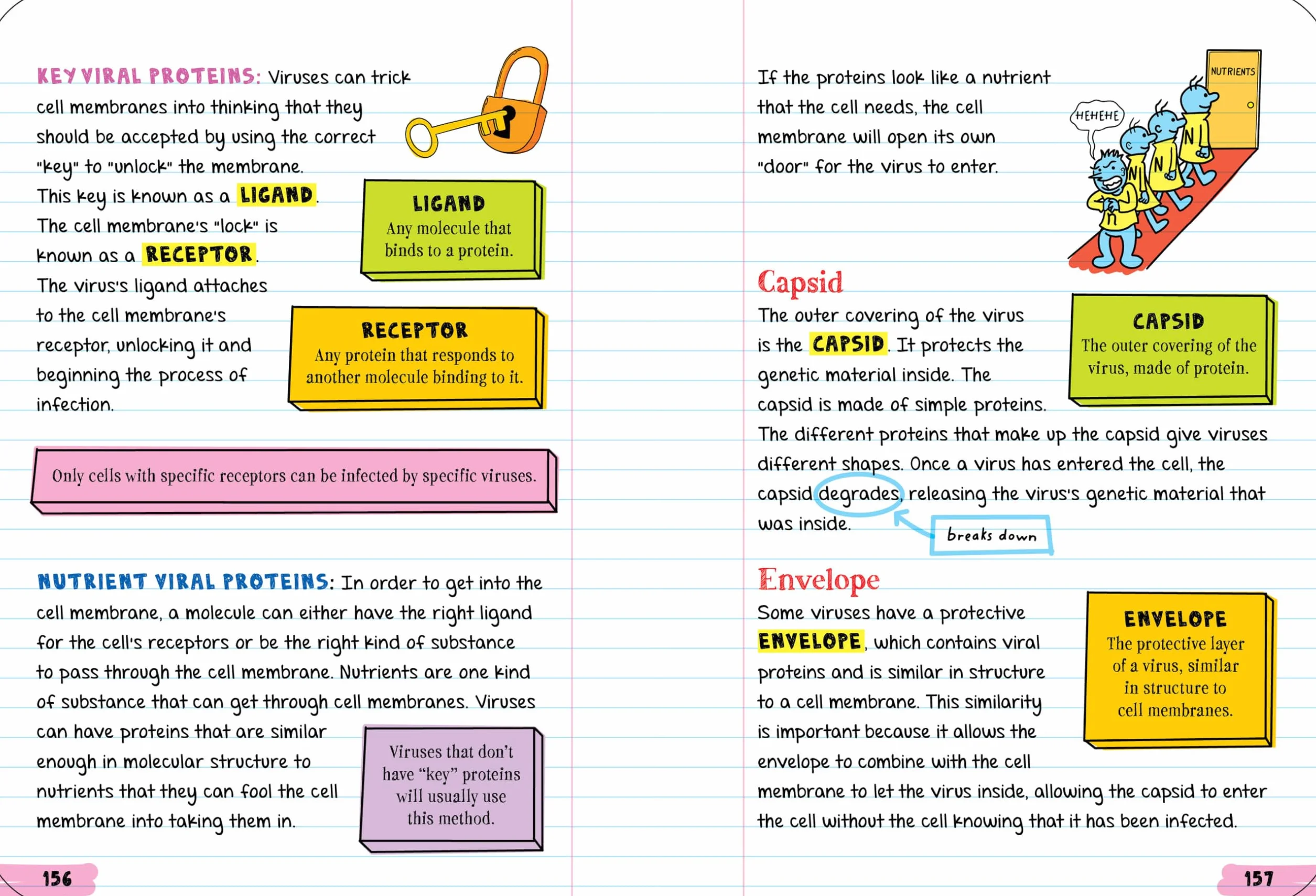 Everything You Need to Ace Biology in One Big Fat Notebook