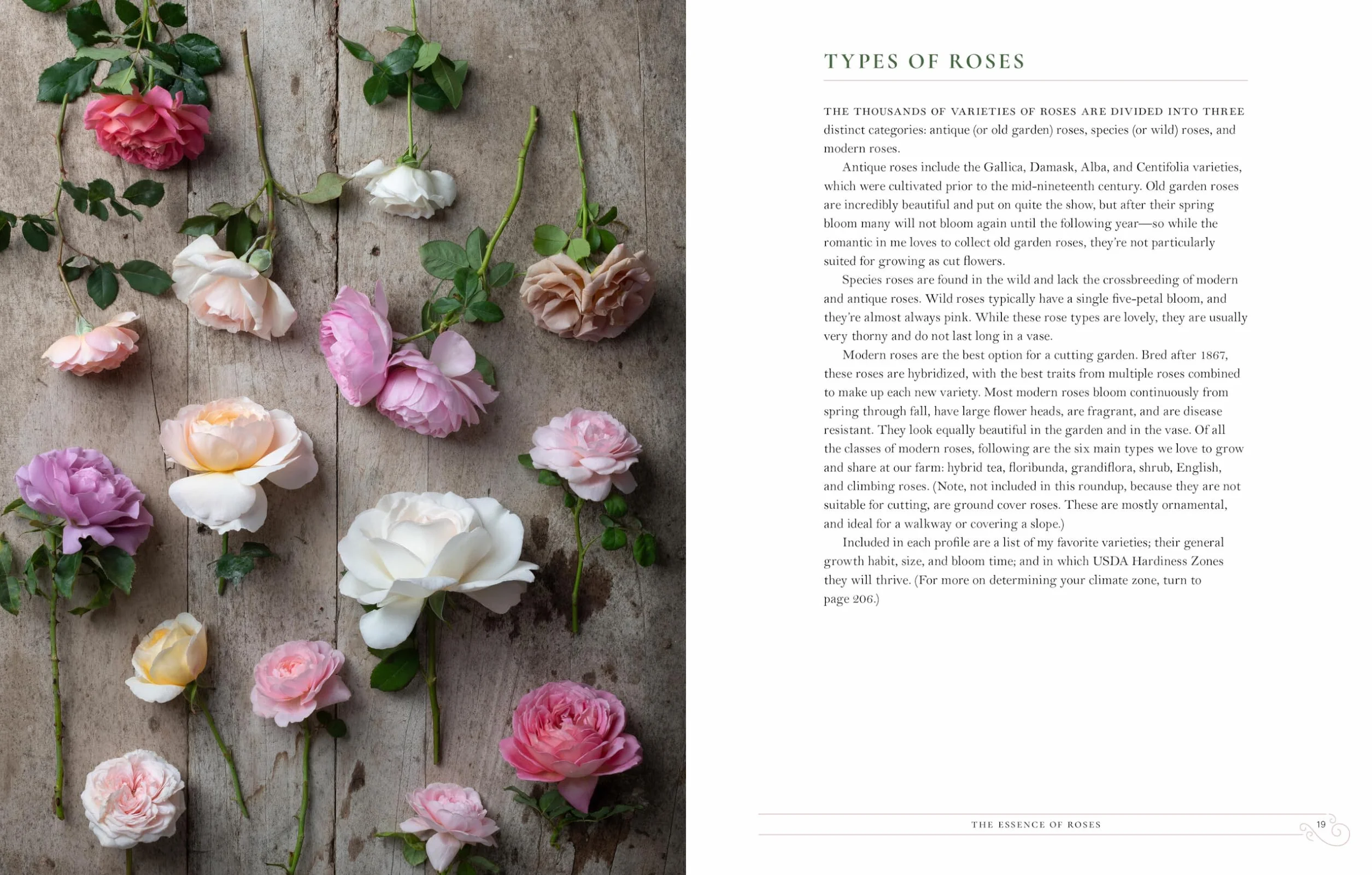 Grace Rose Farm: Garden Roses: The Complete Guide to Growing & Arranging Spectacular Blooms