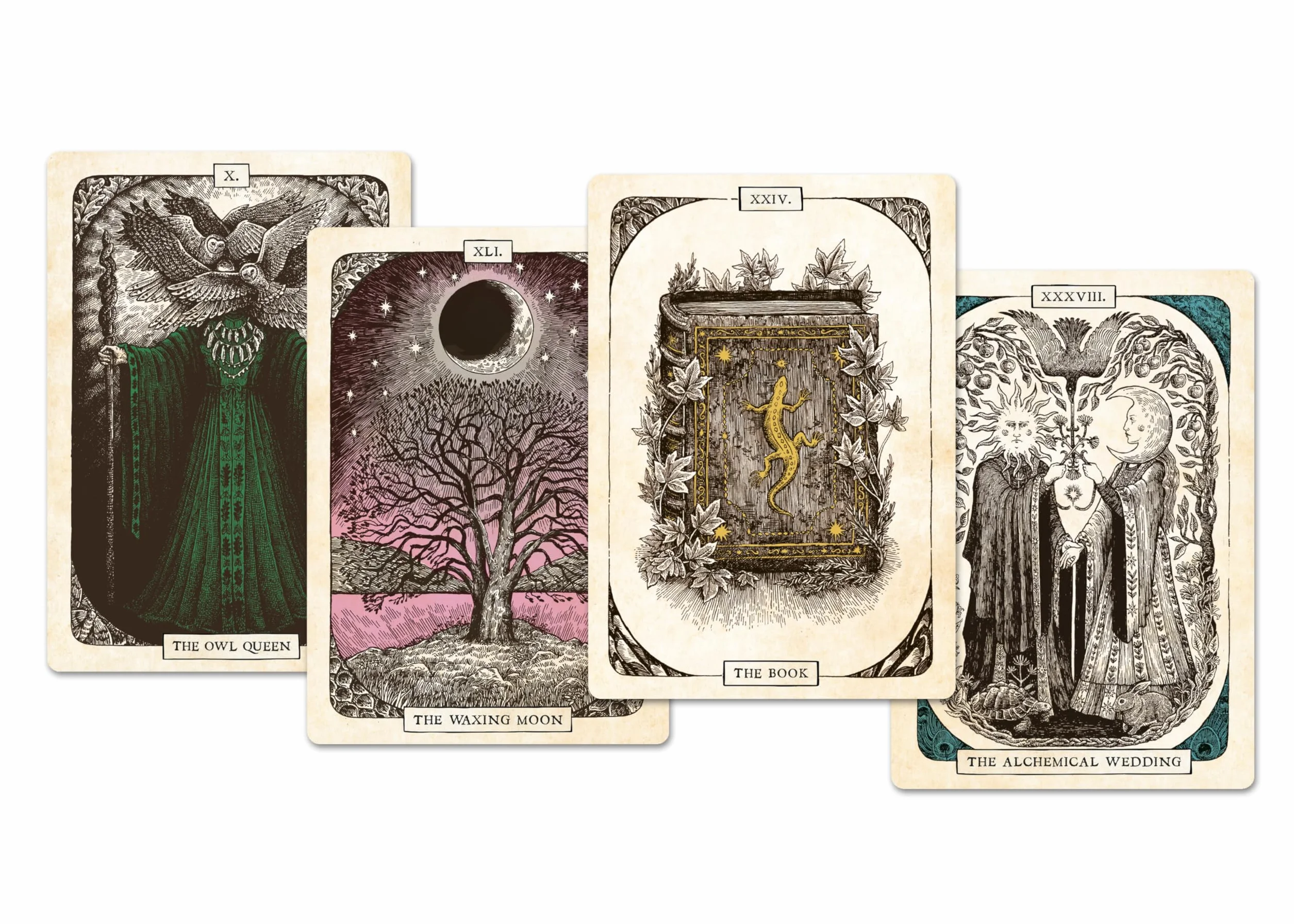 The Black Bird Oracle Deck: A 52-Card Deck and Guidebook