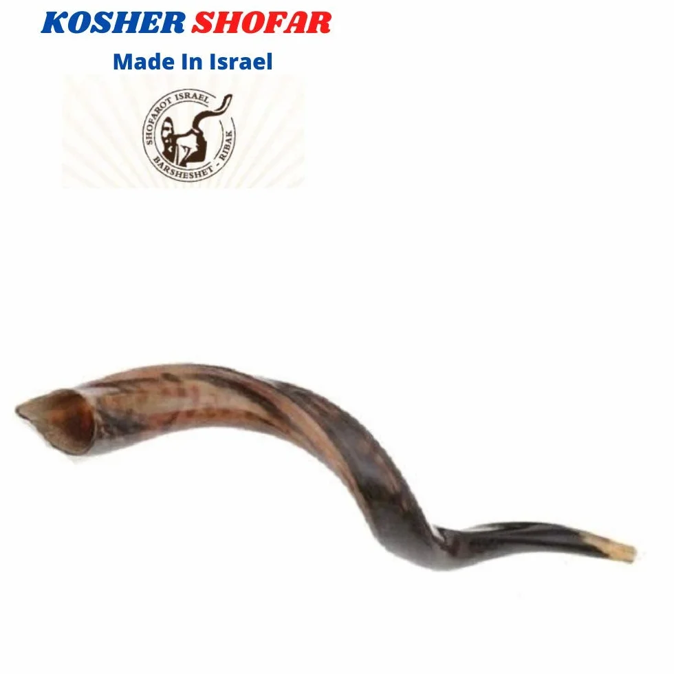 40 - 48 cm naturalny autentyczny koszerny jemeński róg kudu szofar żydowski - Izrael