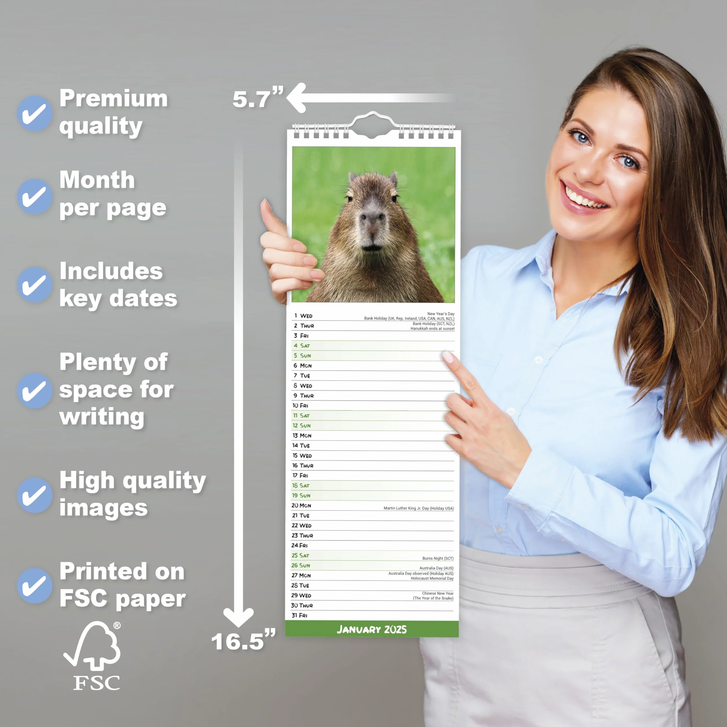 Capybara – Wasserschwein 2025: Original Avonside-Kalender – Slimline [Mehrsprachig] [Kalender]