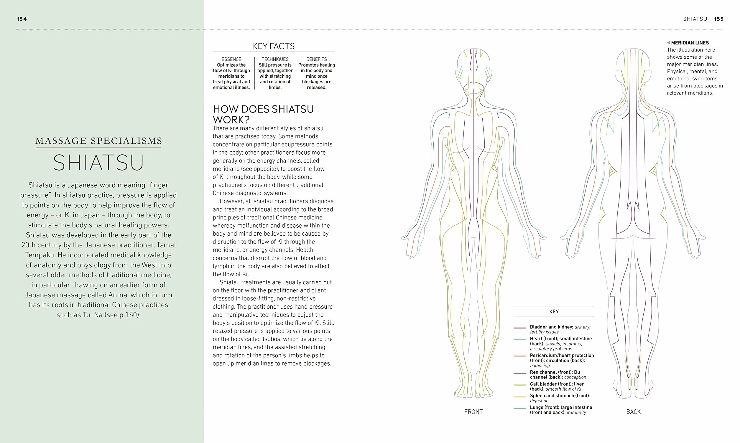 Neal's Yard Remedies Complete Massage: All the Techniques, Disciplines, and Skills you need to Massage for Wellness
