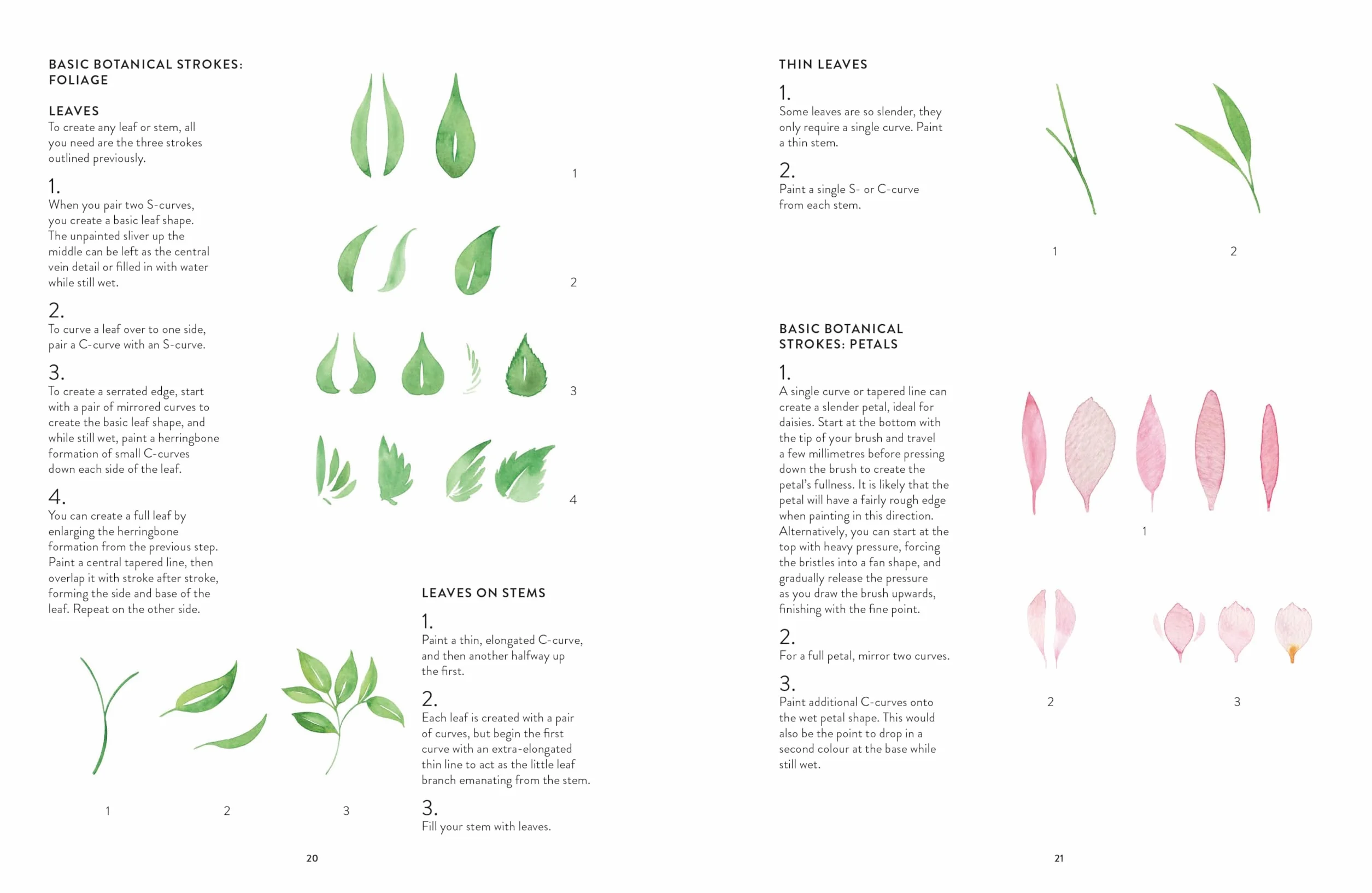 New Botanical Painting