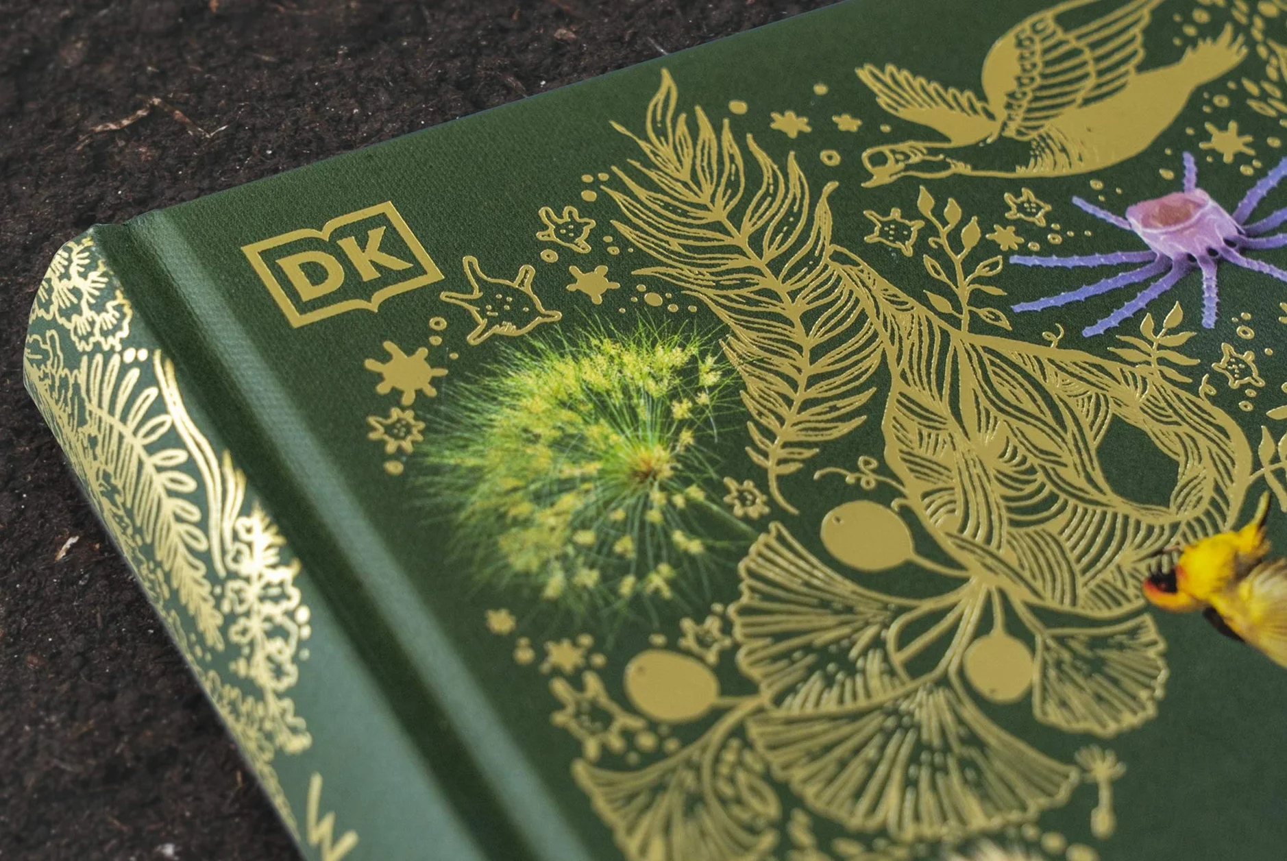 Wundervolle Welt der Natur: Ein Naturbilderbuch für die ganze Familie. Hochwertig ausgestattet mit Lesebändchen, Goldfolie und Goldschnitt