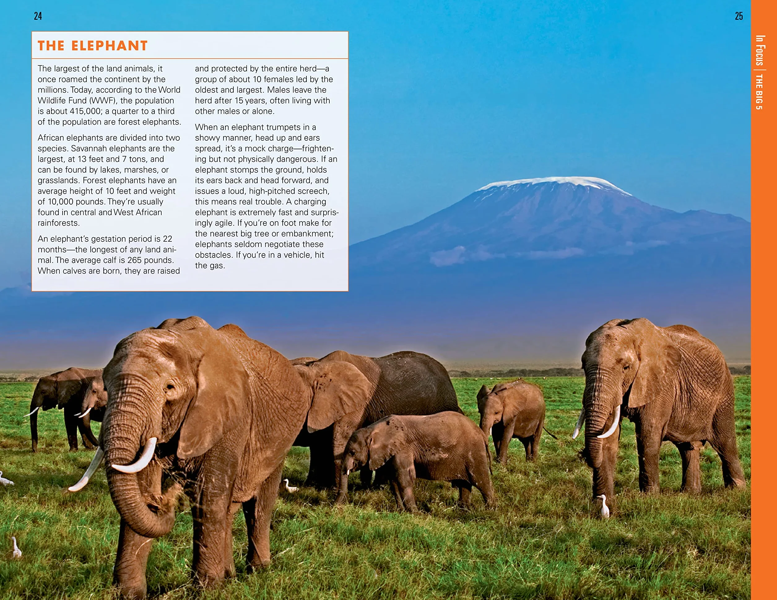 Fodor's the Complete Guide to African Safaris: With South Africa, Kenya, Tanzania, Botswana, Namibia, Rwanda, Uganda, and Victoria Falls