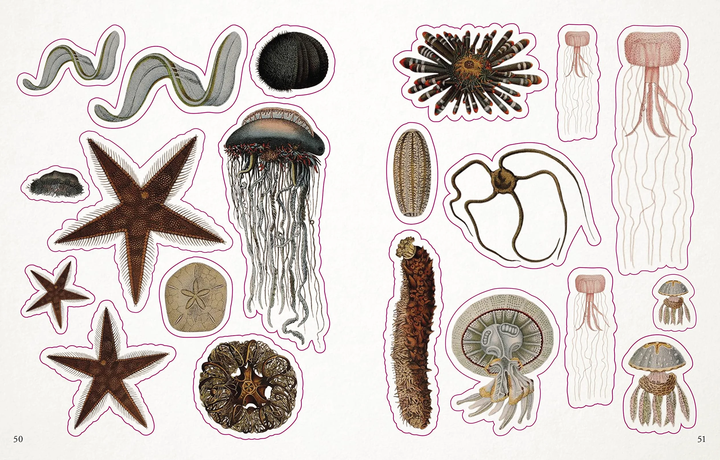 The Seashore Sticker Anthology: With More Than 1,000 Vintage Stickers