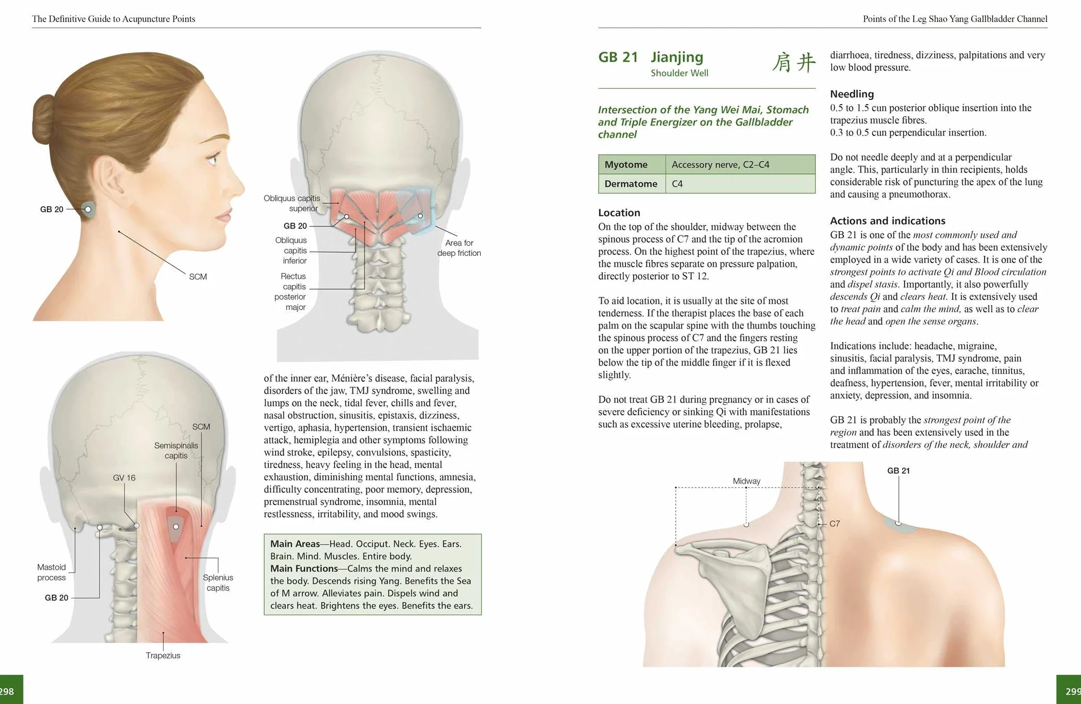 The Definitive Guide to Acupuncture Points: Theory and Practice