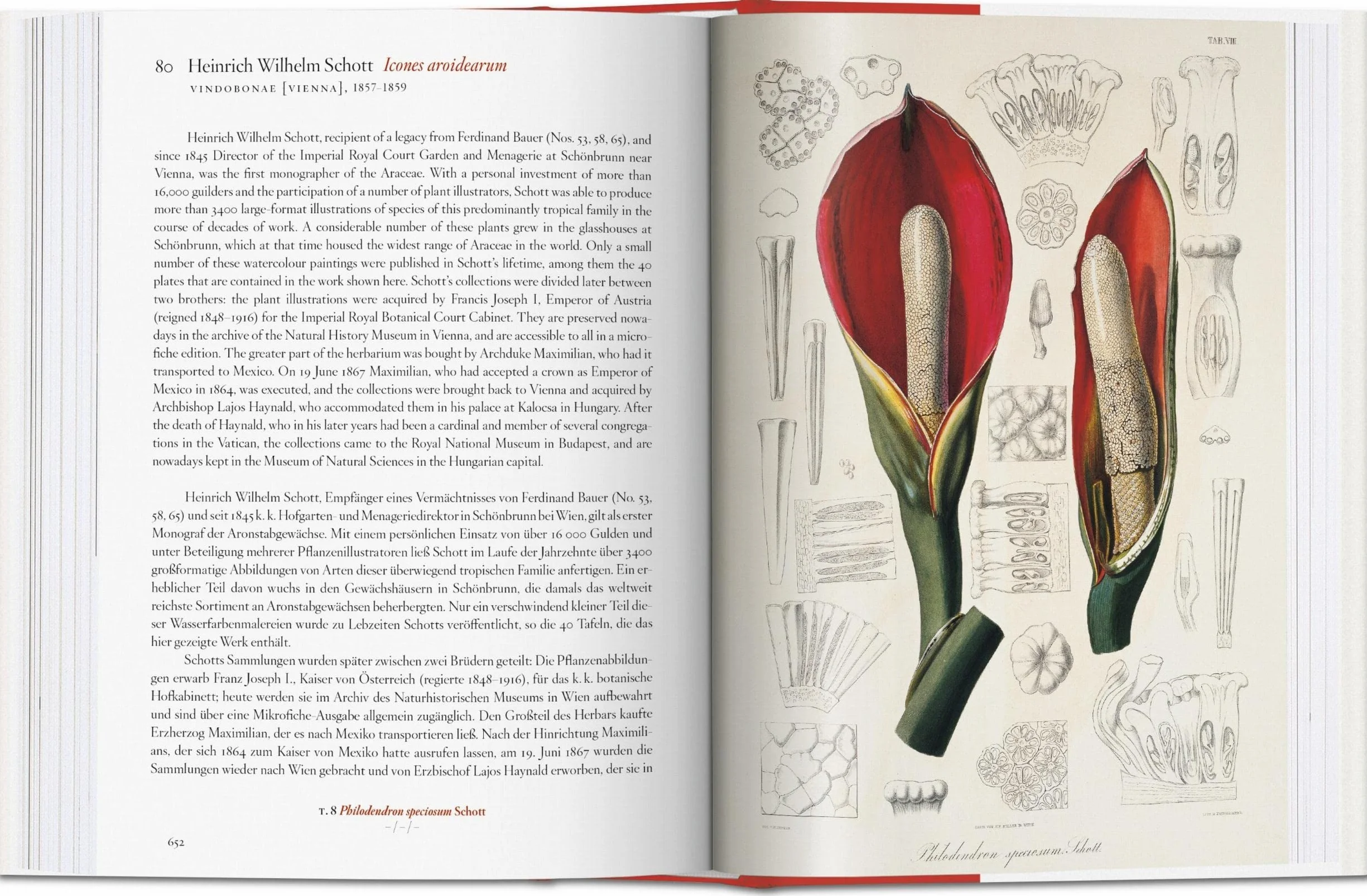 A Garden Eden: Masterpieces of Botanical Illustration: Masterpieces of Botanical Illustration. 45th Ed.