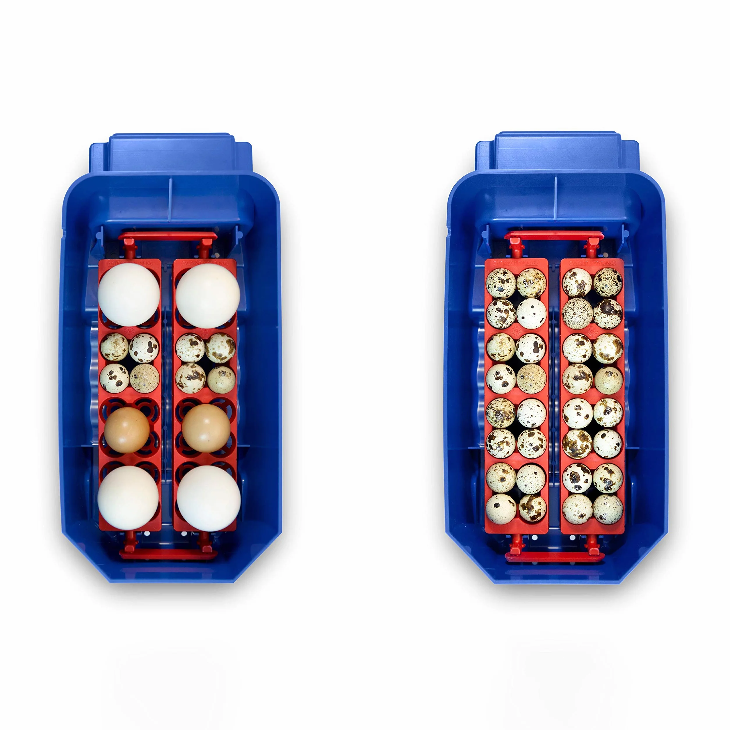 Borotto Lumia 8 Expert | automatyczny automat do wylęgania 8 jajek lub 32 małych z automatycznym mechanizmem obracania jaj, regulacja temperatury, automatyczny nawilżacz powietrza Sirio |