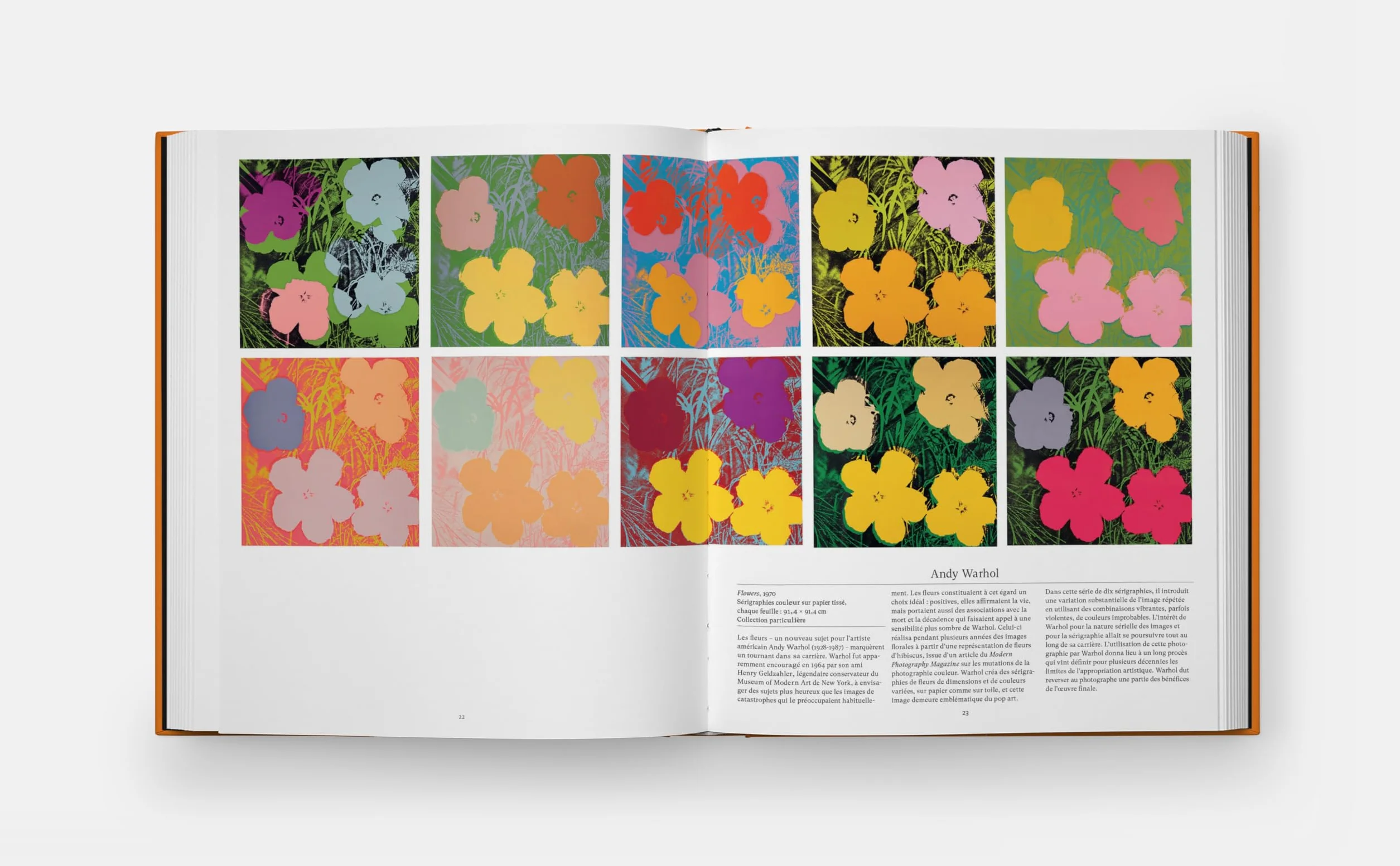 Fleurs: Explorer le monde floral