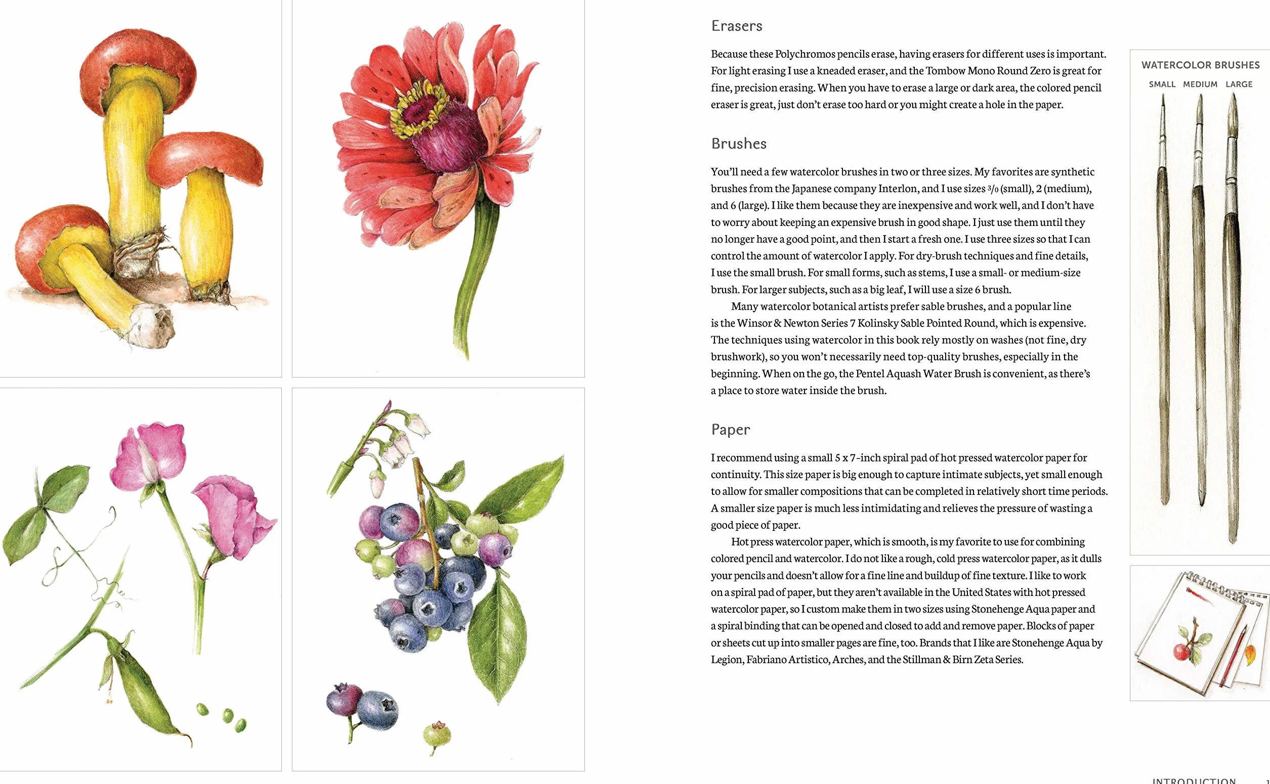 The Joy of Botanical Drawing: A Step-by-Step Guide to Drawing and Painting Flowers, Leaves, Fruit, and More