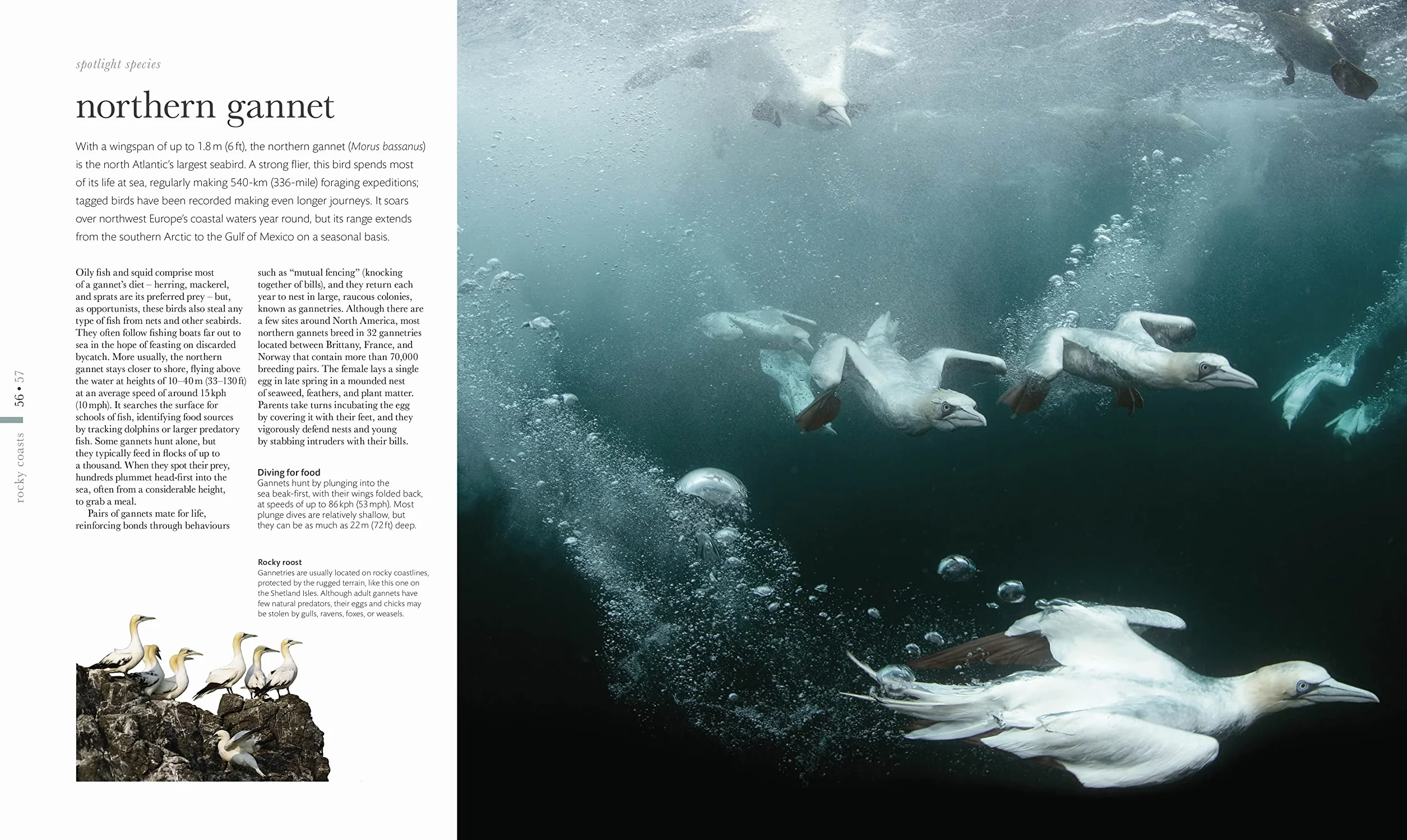 The Science of the Ocean: The Secrets of the Seas Revealed