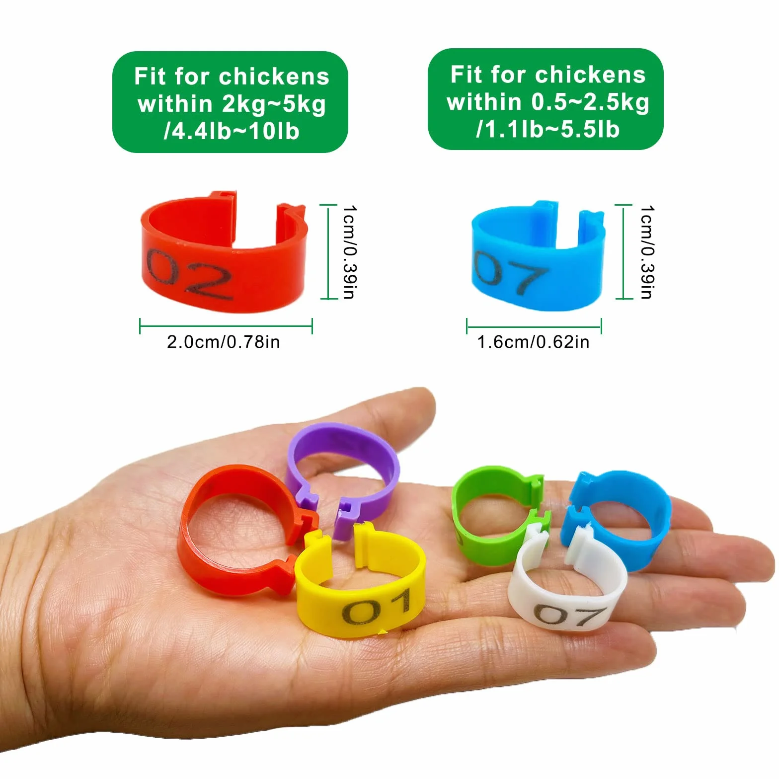 Mivofun 60 sztuk pierścieni na nogi z kurczaka, 16 mm, 20 mm, tworzywo sztuczne, okrągłe taśmy identyfikacyjne, do kaczek, morza, gęsi, dzikiego drobiu, indyków (6 kolorów)