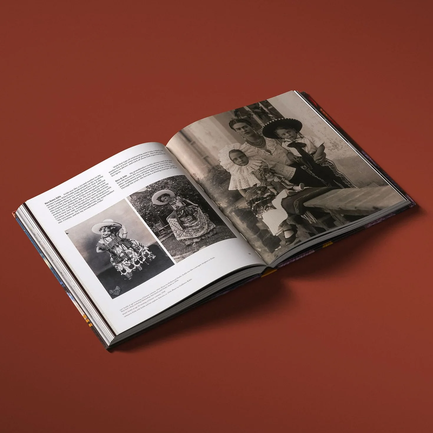 Casa Kahlo /anglais: Frida Kahlo's Home and Sanctuary