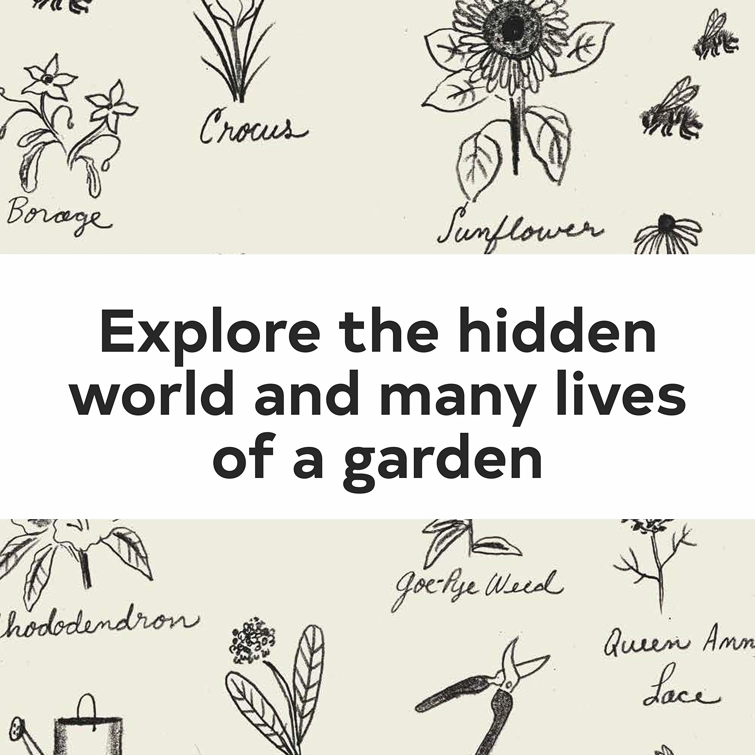 Up in the Garden and Down in the Dirt: (Nature Book for Kids, Gardening and Vegetable Planting, Outdoor Nature Book): 1 (Over and Under)