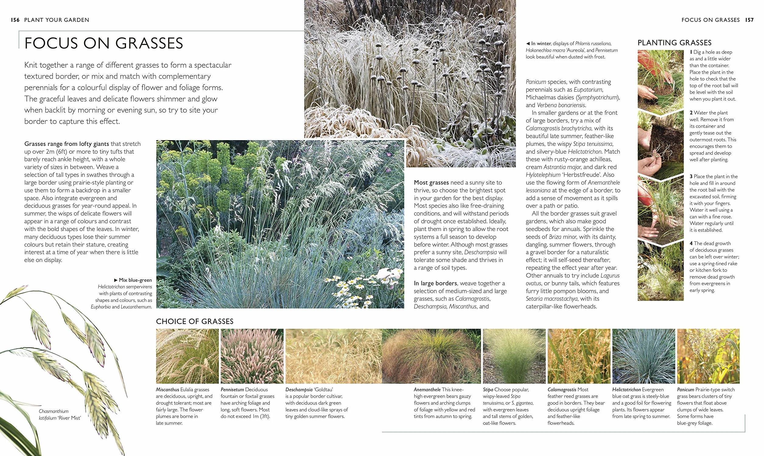 RHS Complete Gardener's Manual: The one-stop guide to plan, sow, plant, and grow your garden
