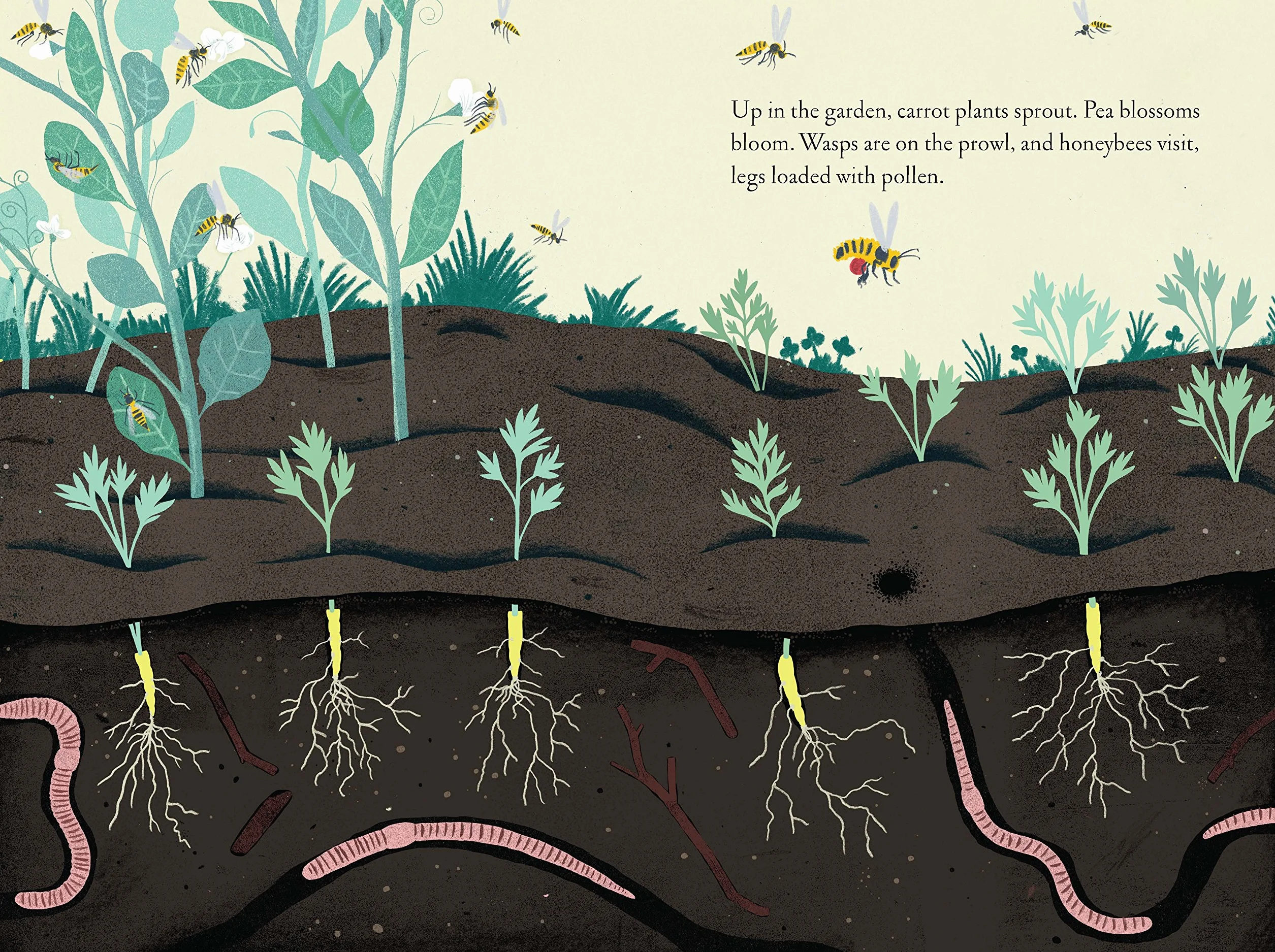 Up in the Garden and Down in the Dirt: (Nature Book for Kids, Gardening and Vegetable Planting, Outdoor Nature Book): 1 (Over and Under)