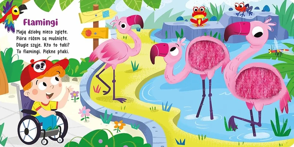 DOTKNIJ I POCZUJ. ZWIERZĘTA W ZOO. KS SENSORYCZNA