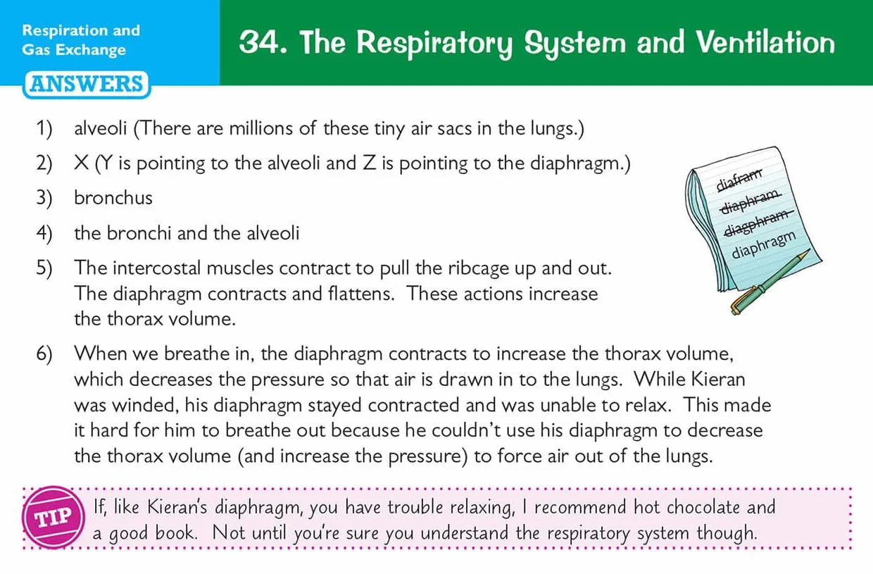 Edexcel International GCSE Biology: Revision Question Cards