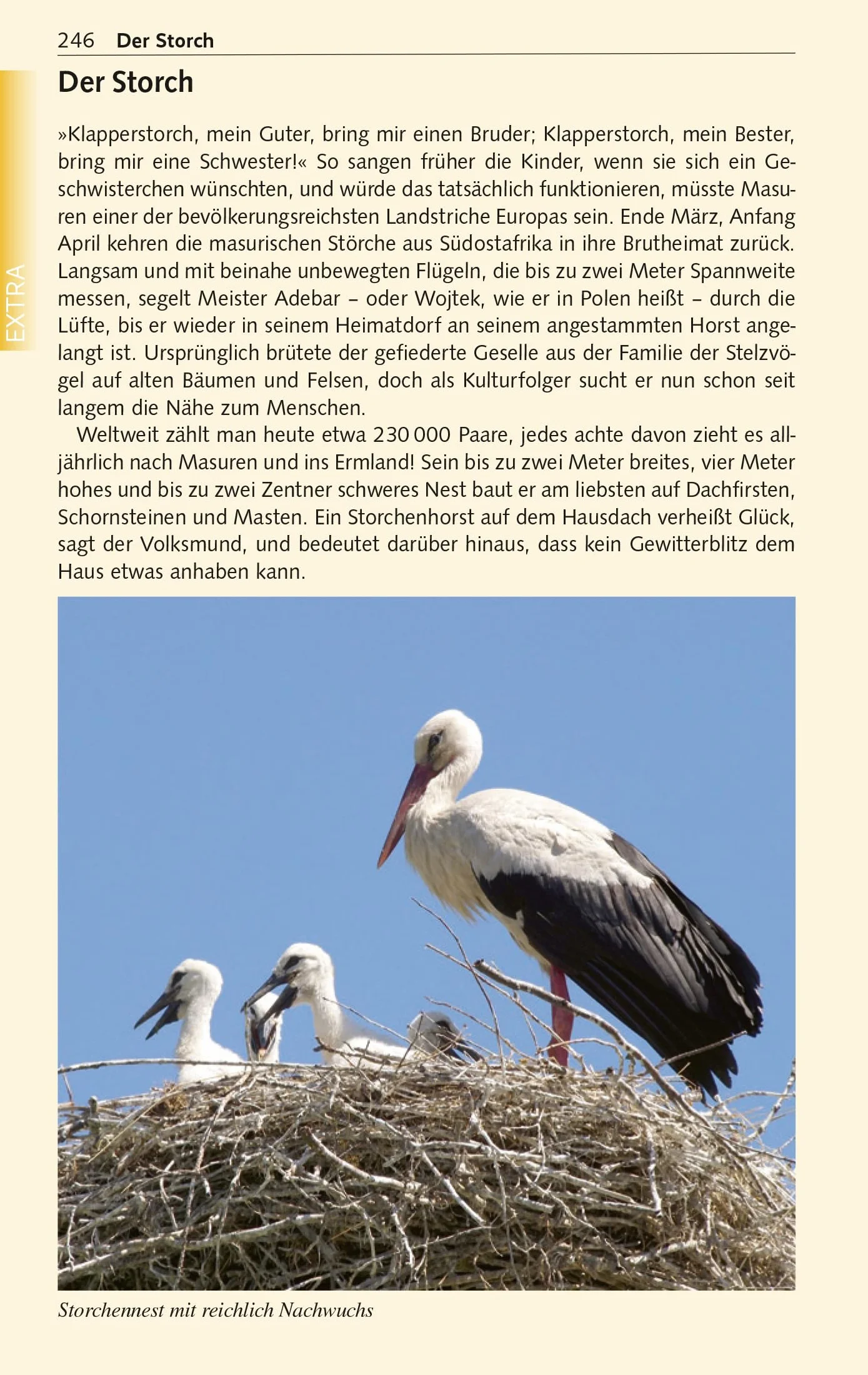 TRESCHER Reiseführer Masuren: Mit Marienburg, Danzig und Thorn
