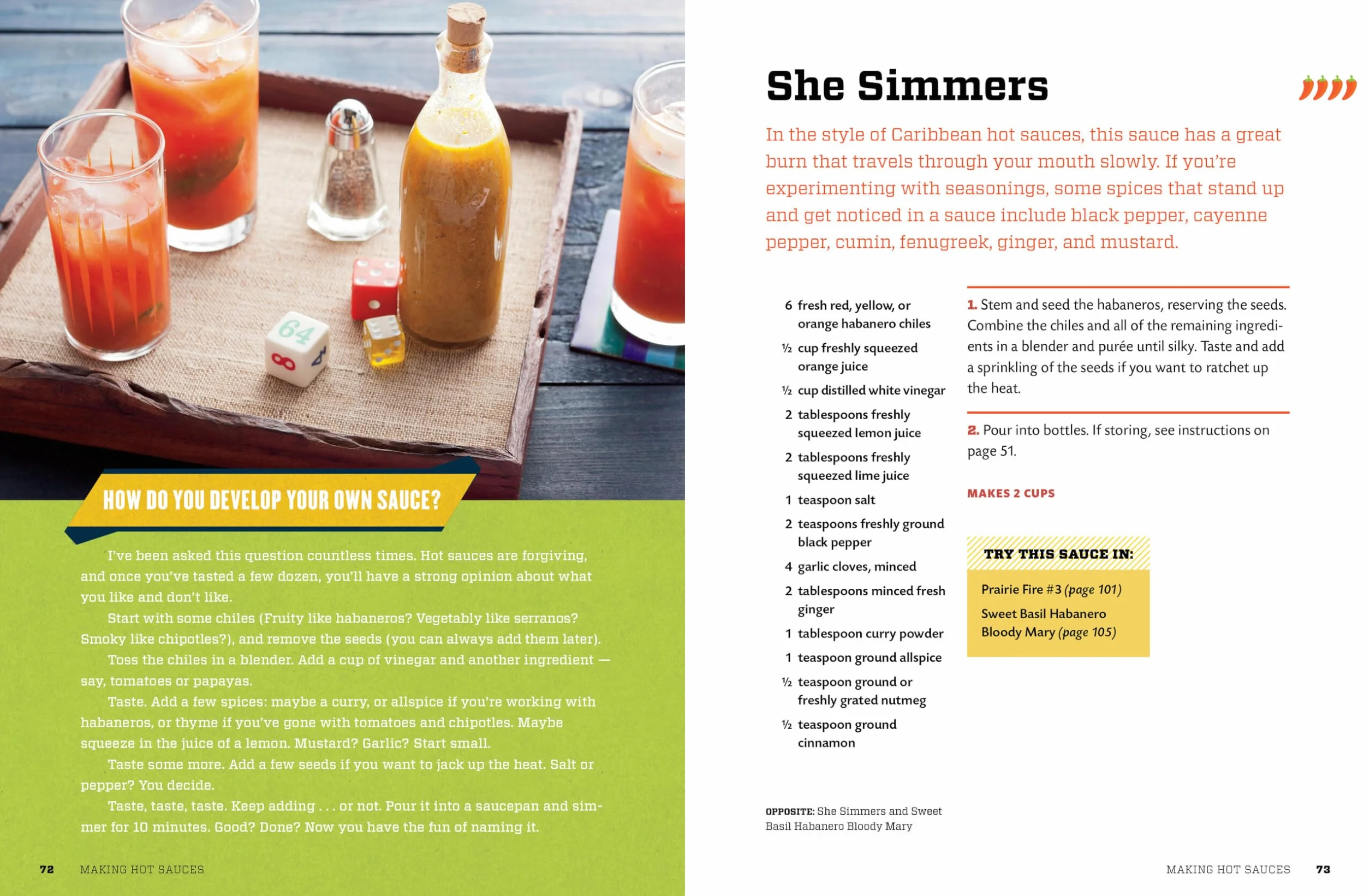 Hot Sauce!: Techniques for Making Signature Hot Sauces