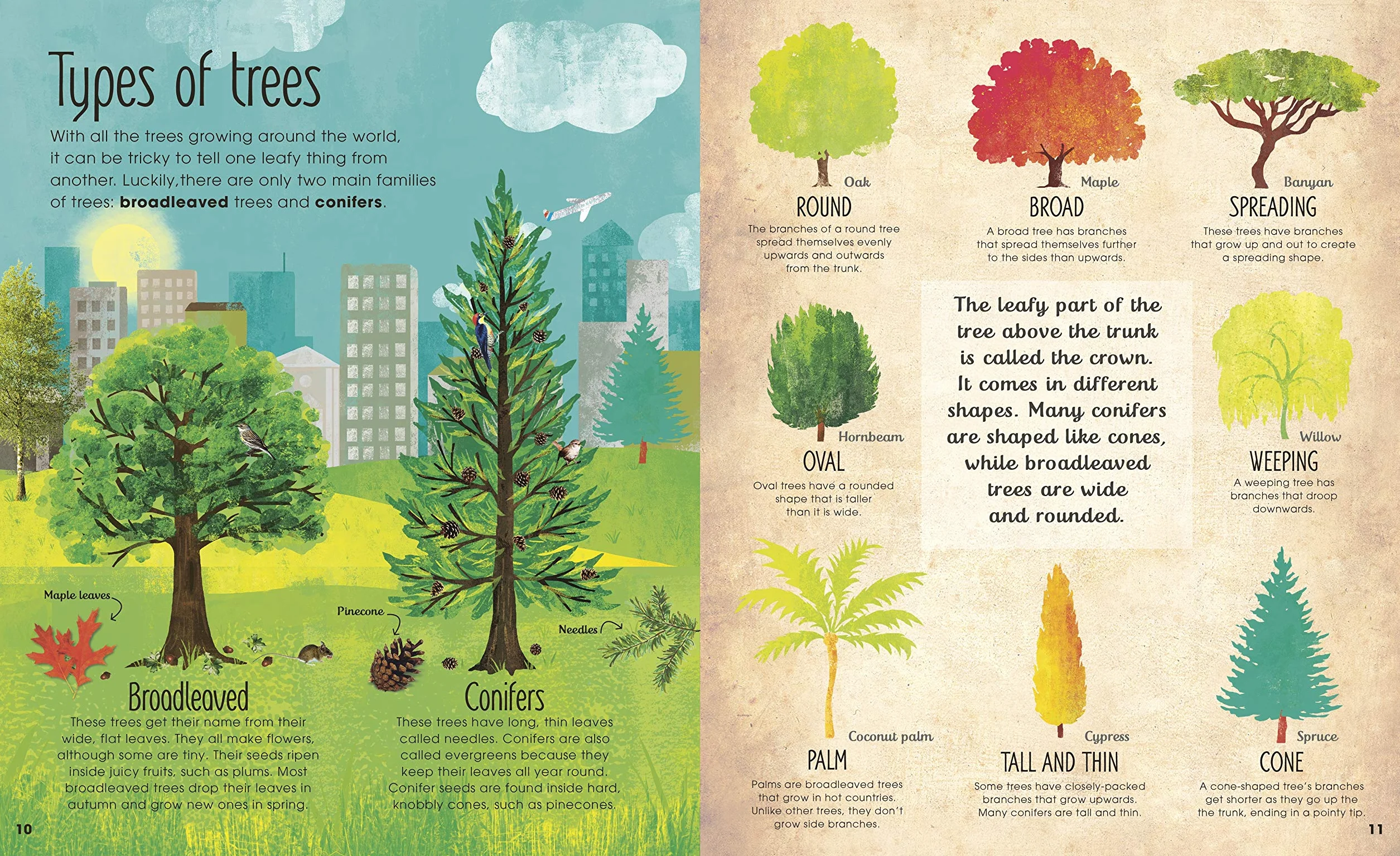 RHS The Magic and Mystery of Trees (The Magic and Mystery of Nature)