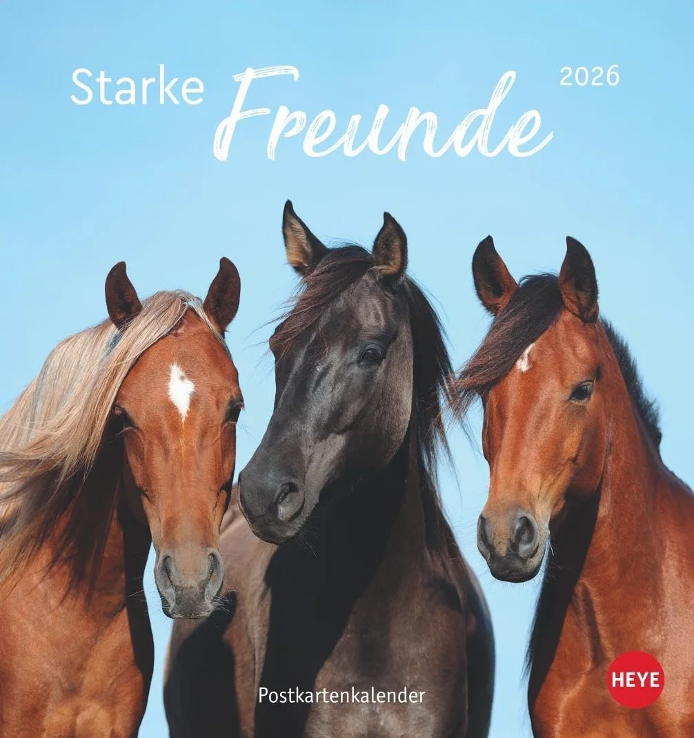 Pferde Postkartenkalender 2026 - Starke Freunde: Pferdefotografin Sabine Stuewer setzt die edlen Tiere in einem kleinen Kalender perfekt in Szene. Hochwertiger Postkarten-Fotokalender.