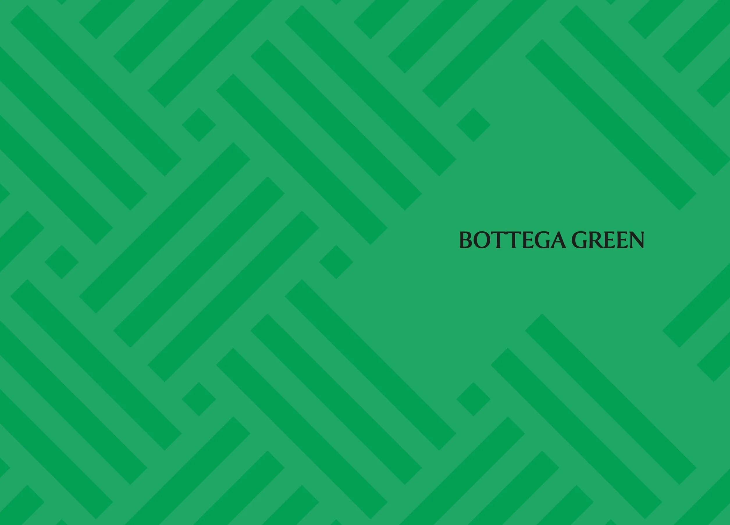 Little Book of Bottega Veneta: The Story of the Iconic Fashion House: 30