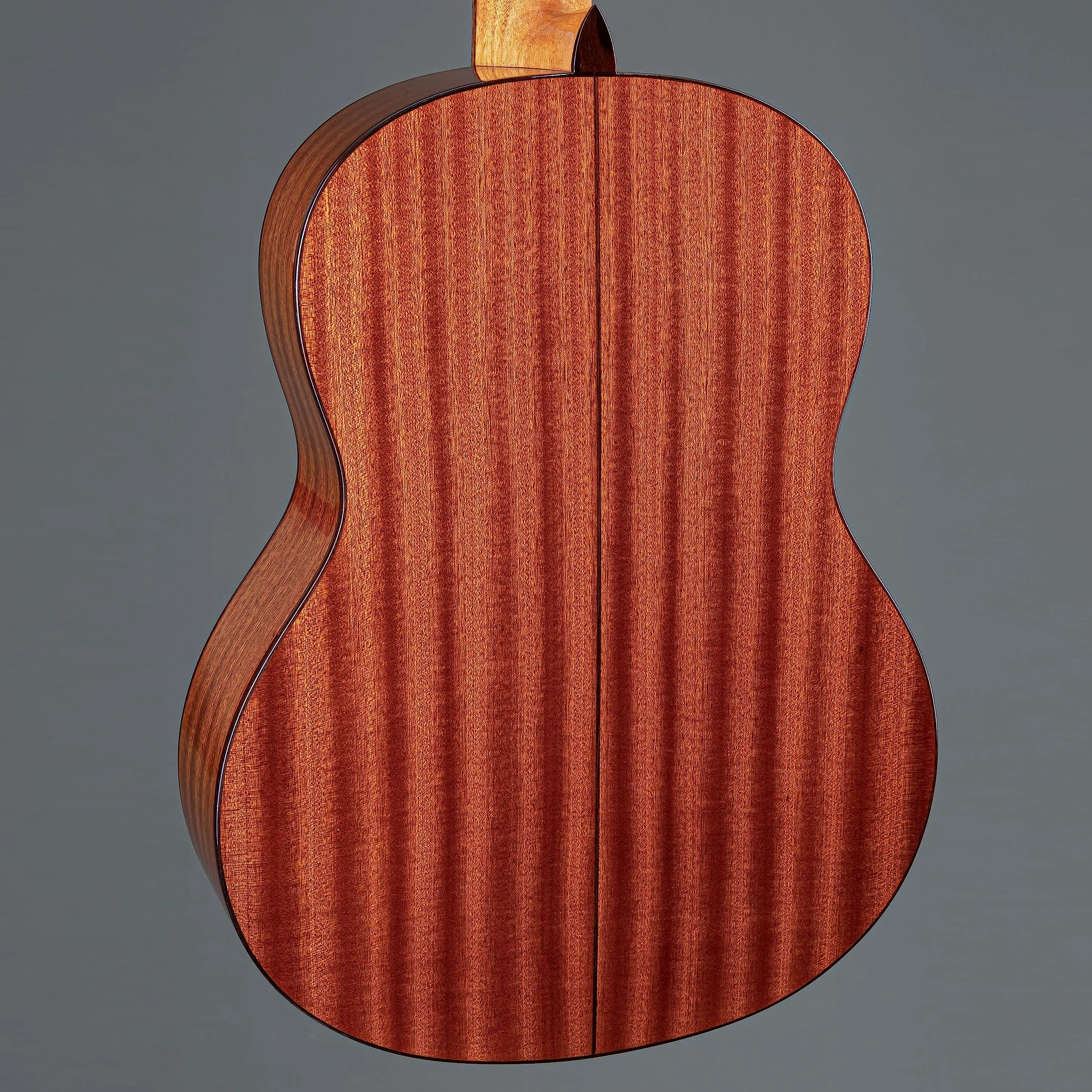 Cordoba C5 CD - Gitara klasyczna w rozmiarze 4/4