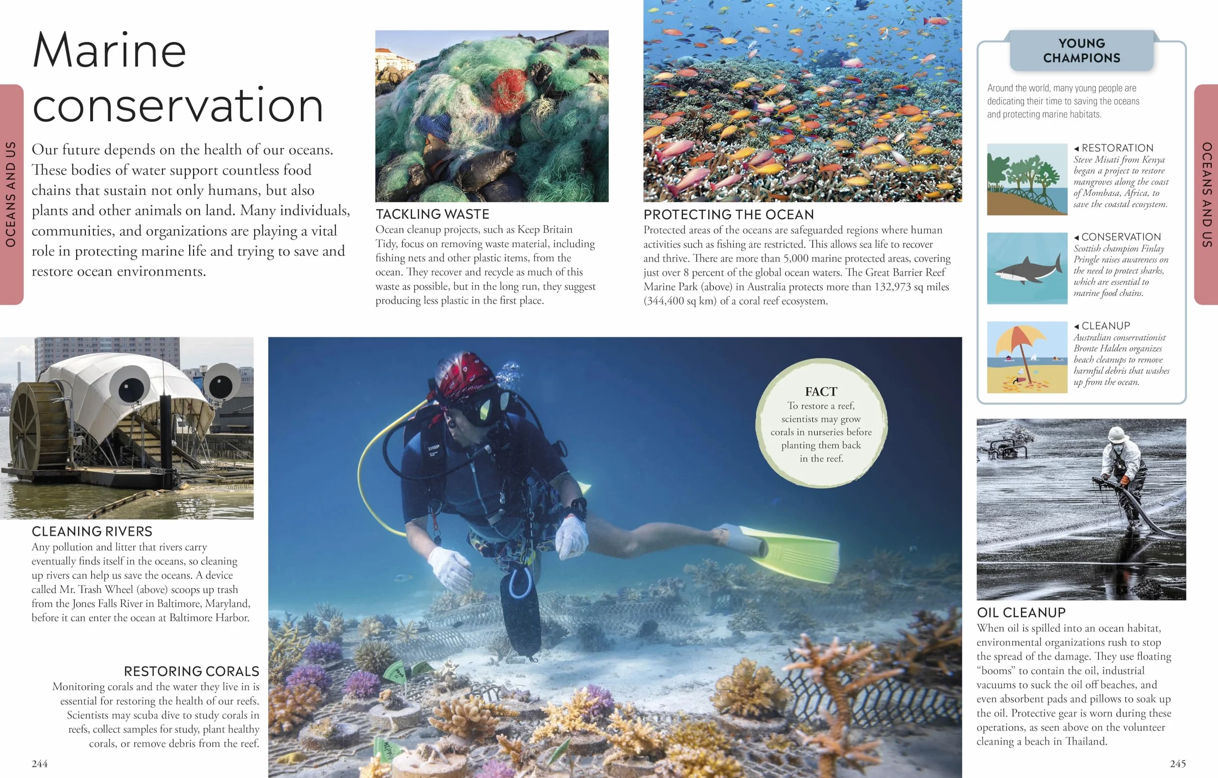 Ocean: A Visual Encyclopedia, 2nd Edition