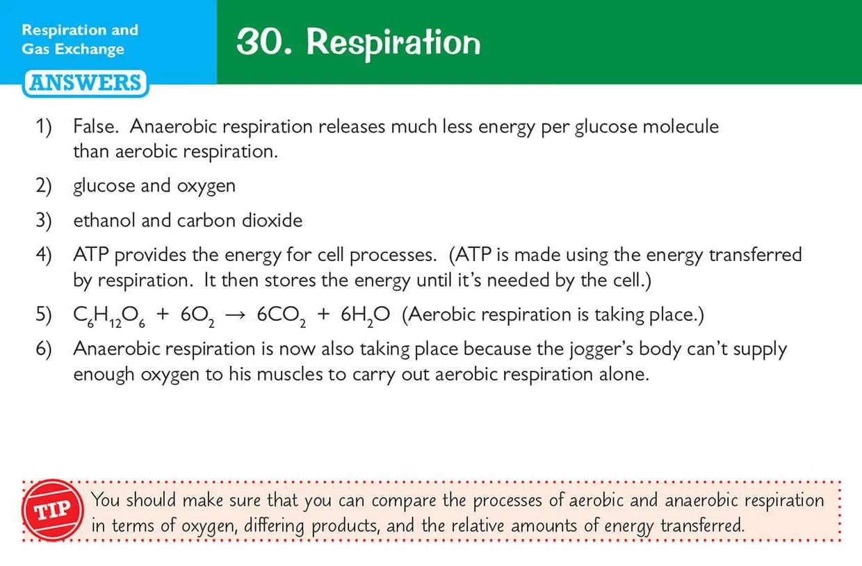 Edexcel International GCSE Biology: Revision Question Cards