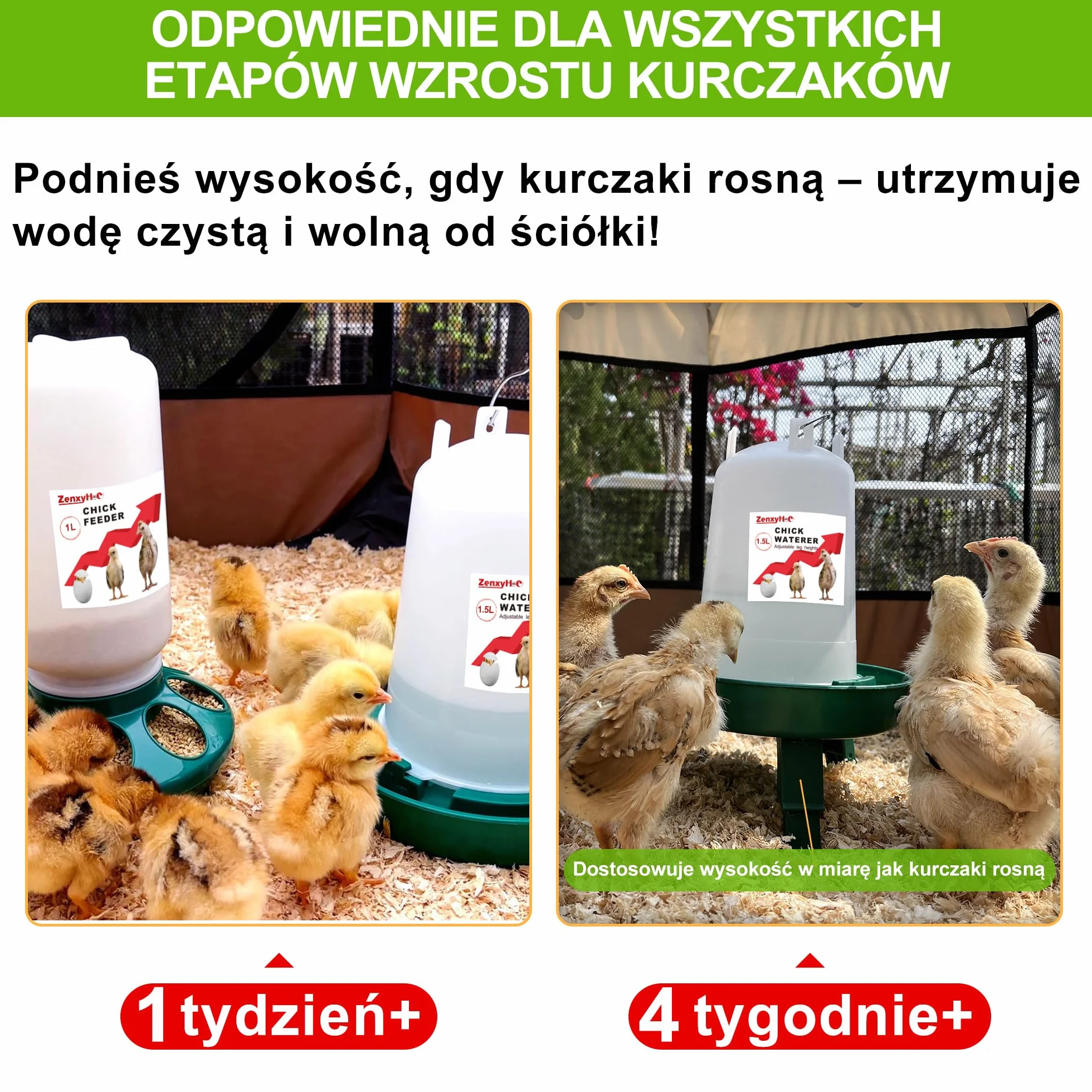 ZenxyHoC Zestaw do poidła dla piskląt, automat do karmy dla kurcząt, 1 kg i poidło 1,5 l z 3 regulowanymi wysokościami (zielony)