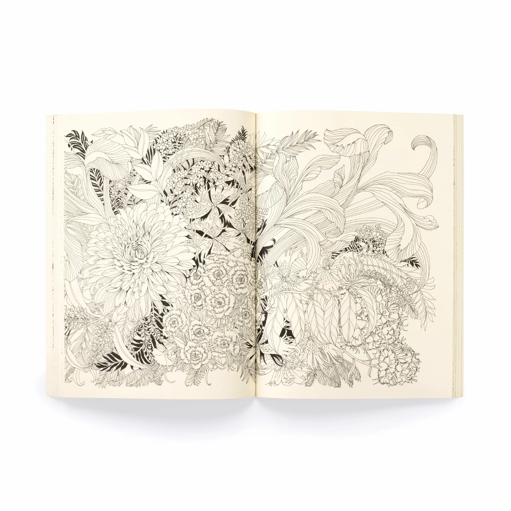 Floribunda Year /anglais: A Flower Colouring Companion