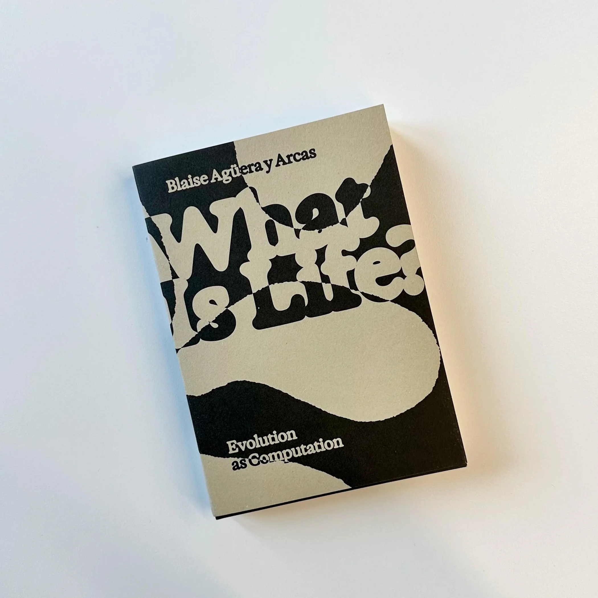 What Is Life?: Evolution as Computation
