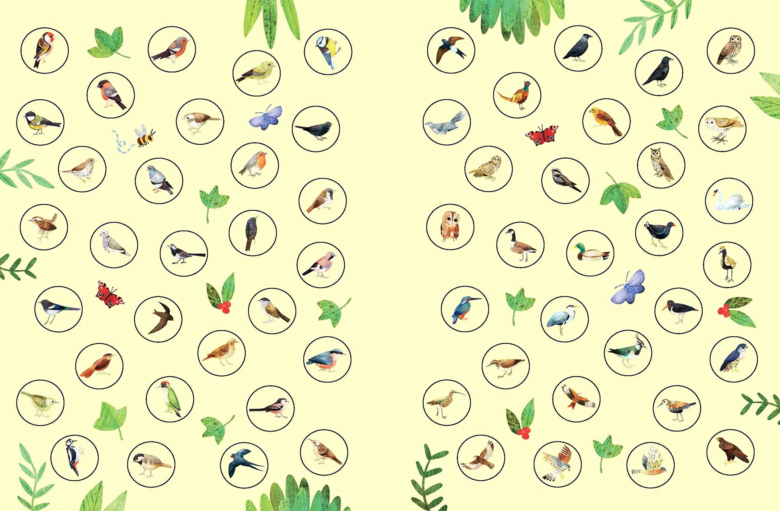 Birds to Spot (Usborne Minis)