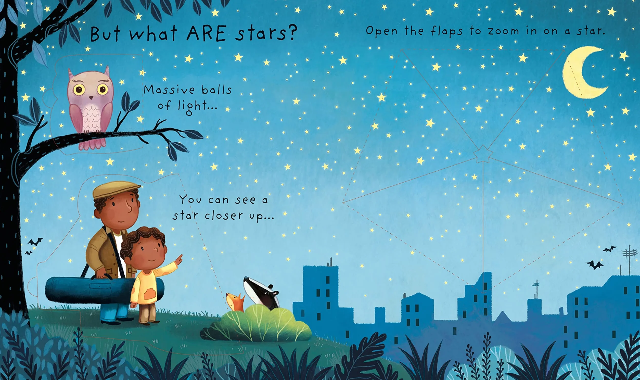 What are Stars? (Very First Lift-the-Flap Questions & Answers): 9781474924252 (Very First Questions and Answers)
