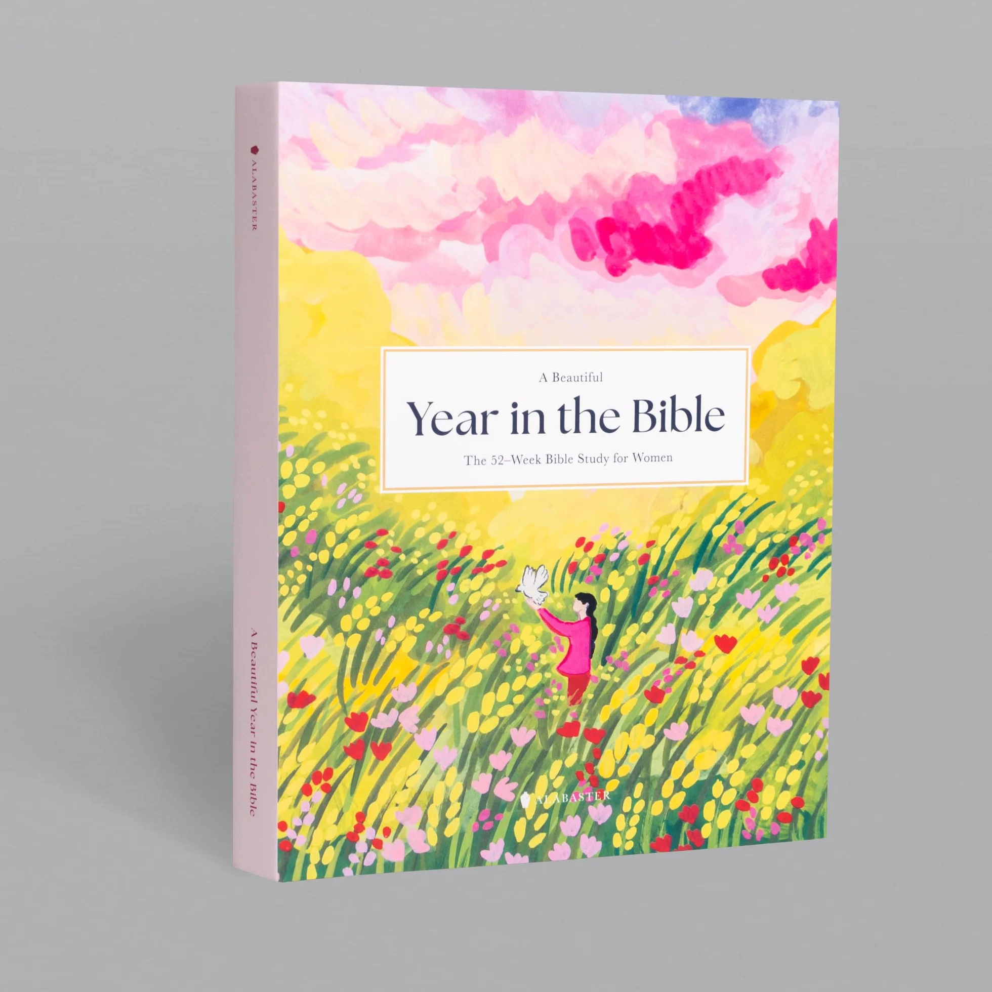 A Beautiful Year in the Bible: The 52-Week Bible Study for Women (Hc)