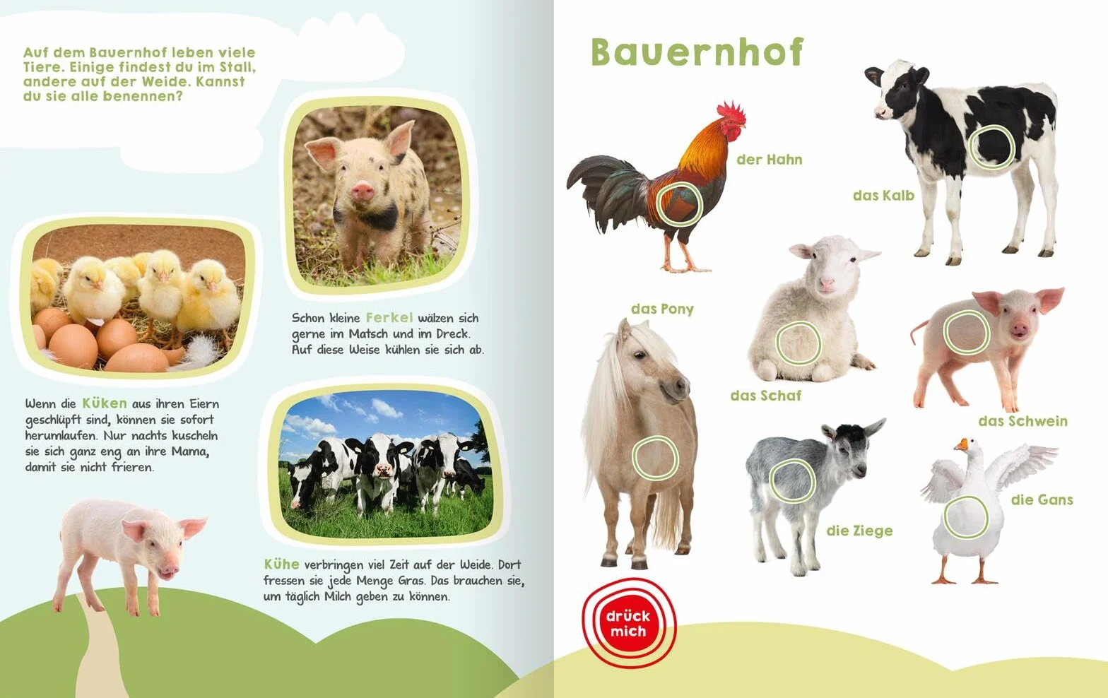 Mein großes Buch der Tiergeräusche: Mit 50 Sounds