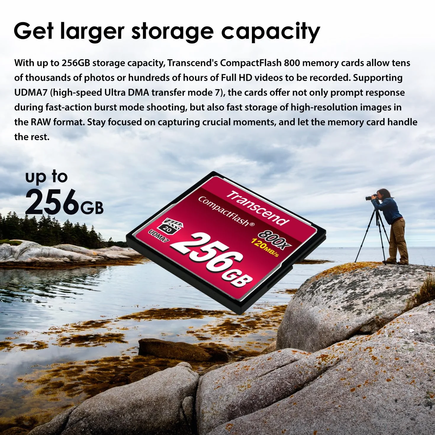 Transcend CF800 | 64GB CF card | MLC NAND flash, up to 120/60 MB/s (TS64GCF800)