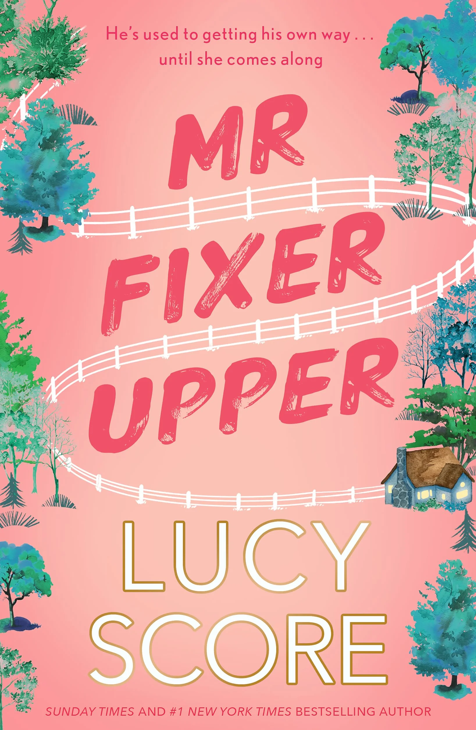 Mr Fixer Upper: the new romance from the 2023 bestselling Tiktok sensation!