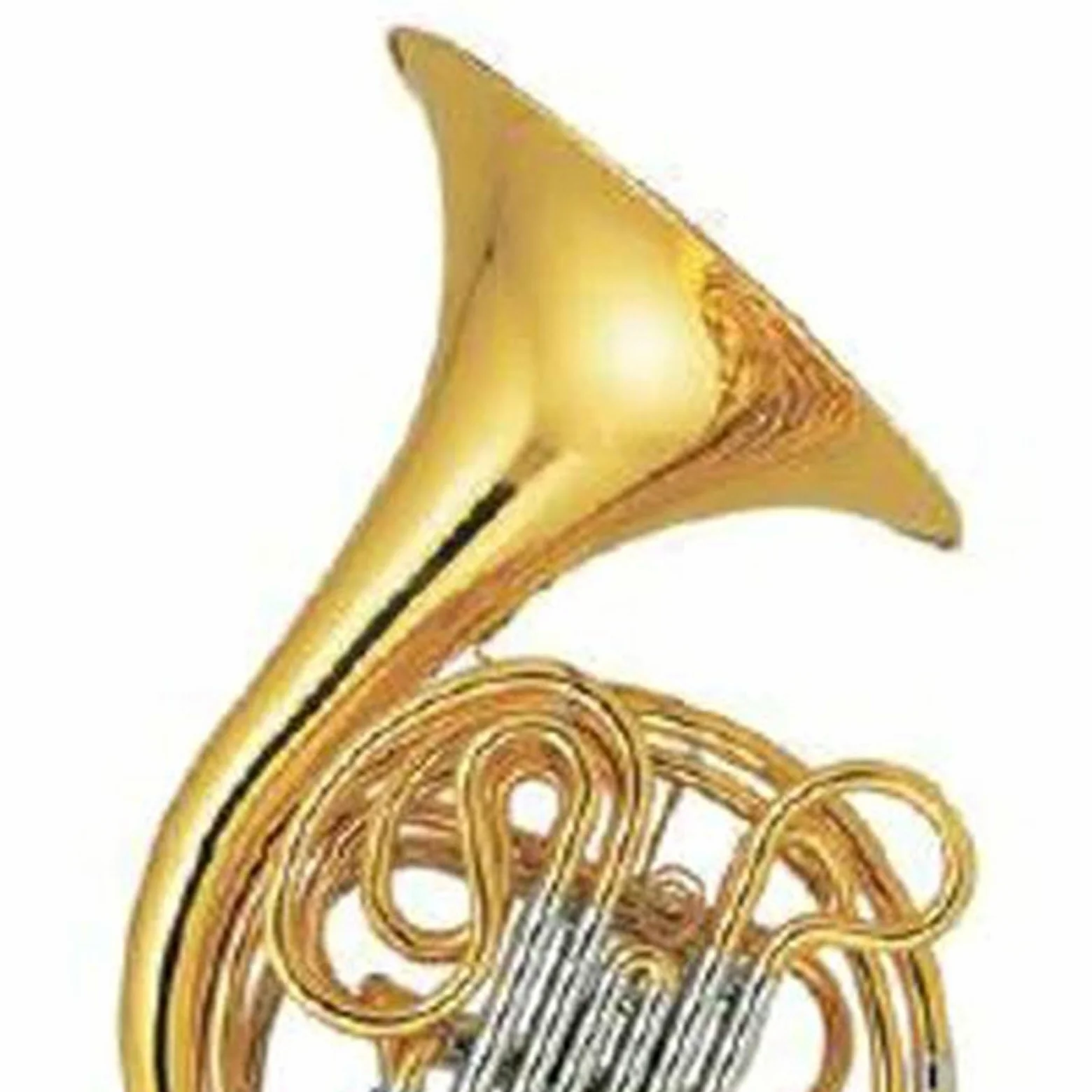 Róg Francuski Instrumenty Muzyczne Profesjonalne Wykonanie Złoty Lakier F Bb Klucz Podwójny Róg Francuski