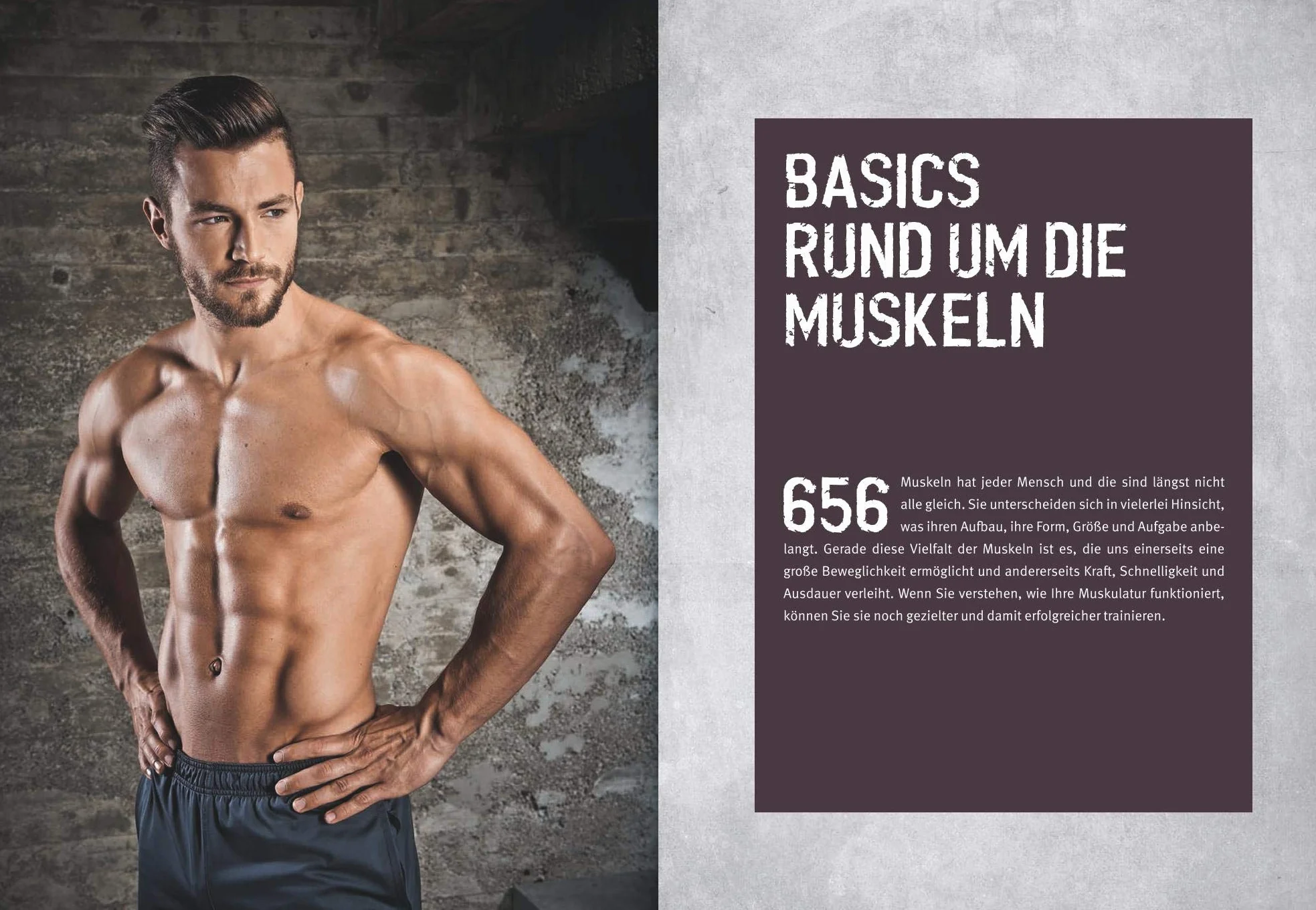 Das Muskel-Workout: Über 100 hocheffiziente Übungen ohne Geräte