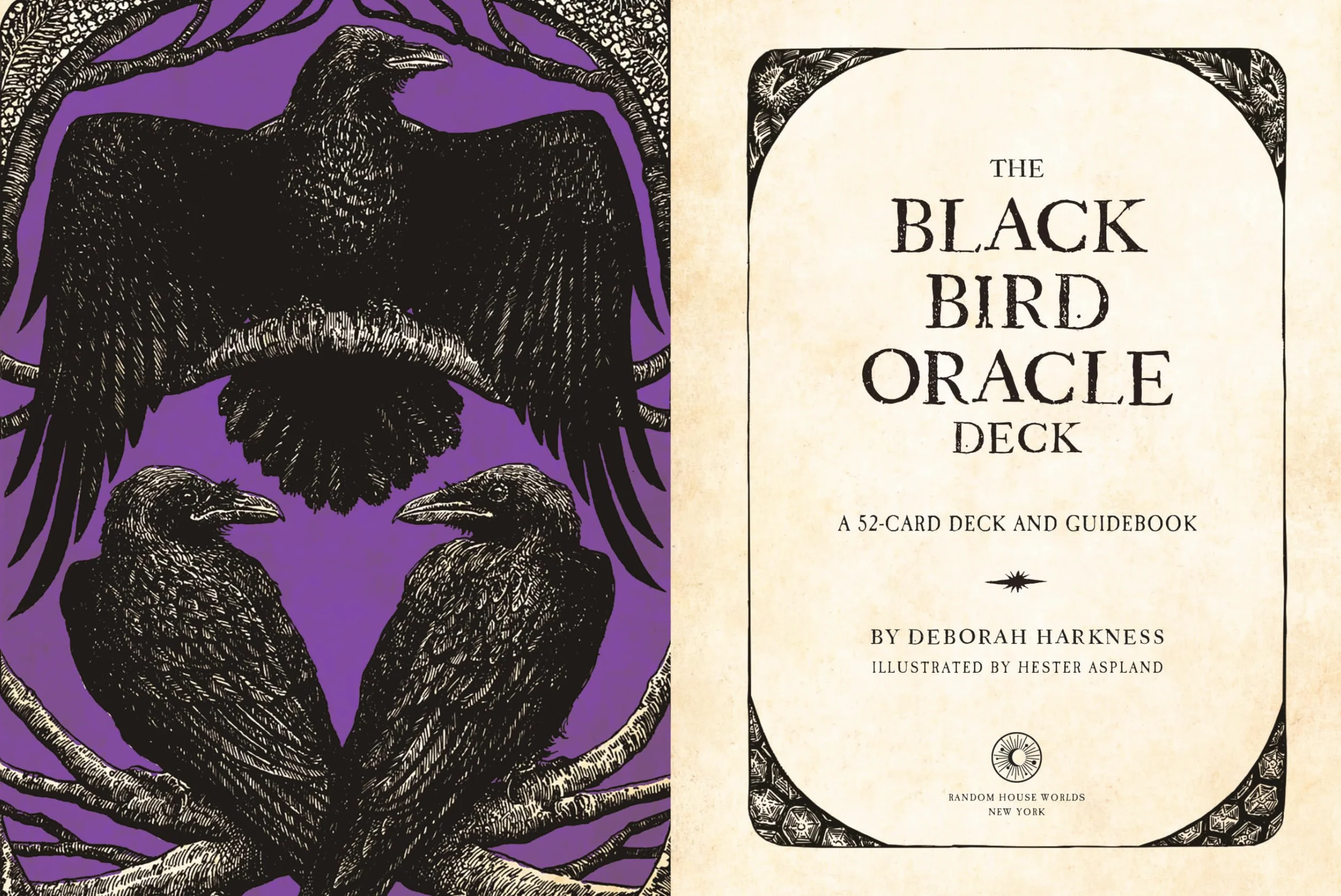 The Black Bird Oracle Deck: A 52-Card Deck and Guidebook
