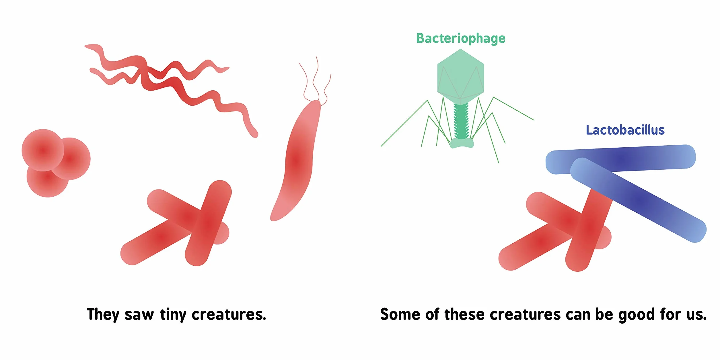 Germ Theory for Babies: 1 (Baby University)