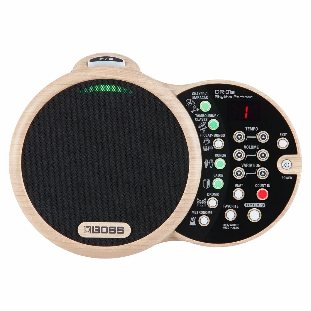 BOSS DR-01S Rhythm Partner