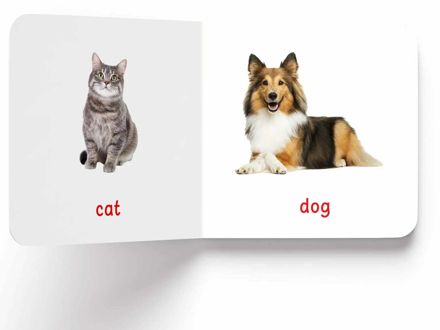 My First Book of Farm Animals & Pets: First Board Book