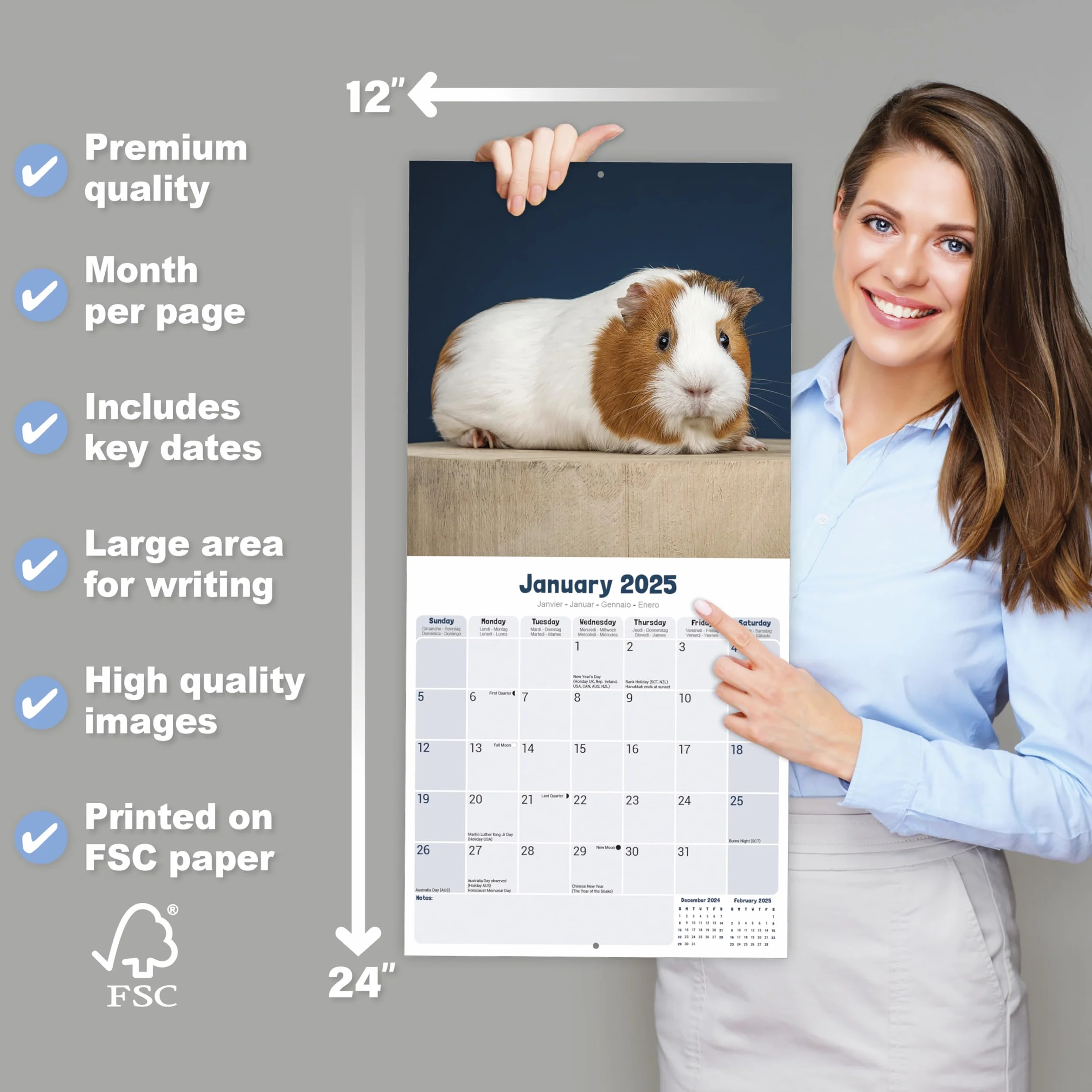Guinea Pigs Calendar 2025 Square Wall Calendar 16 Month Avonside
